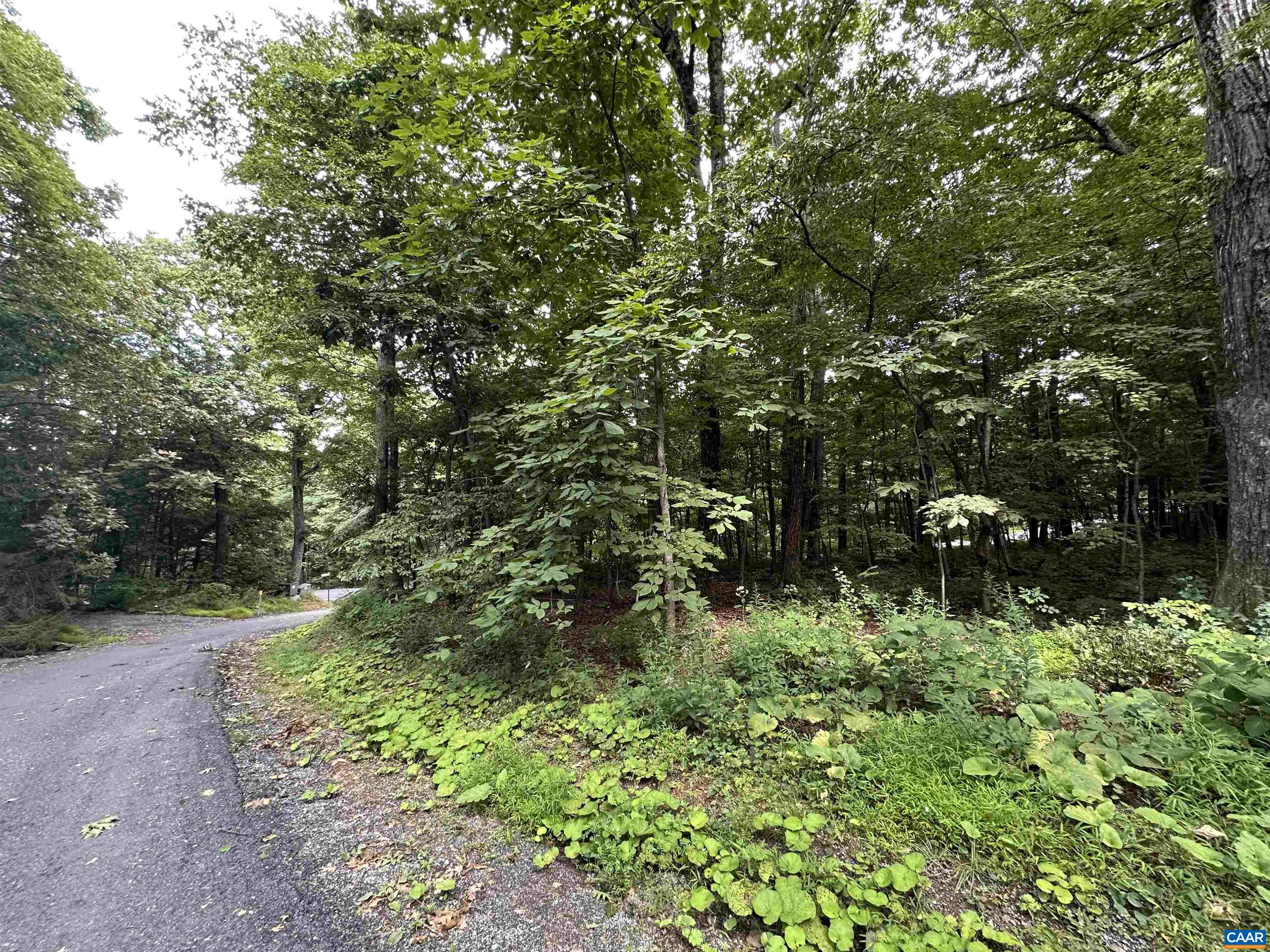11 FAIRWAY OAKS LN, WINTERGREEN RESORT, Virginia 22967, ,Land,11 FAIRWAY OAKS LN,680815 MLS # 680815 11 FAIRWAY OAKS LN, WINTERGREEN RESORT, Virginia 22967, ,Land,11 FAIRWAY OAKS LN,680815 MLS # 680815