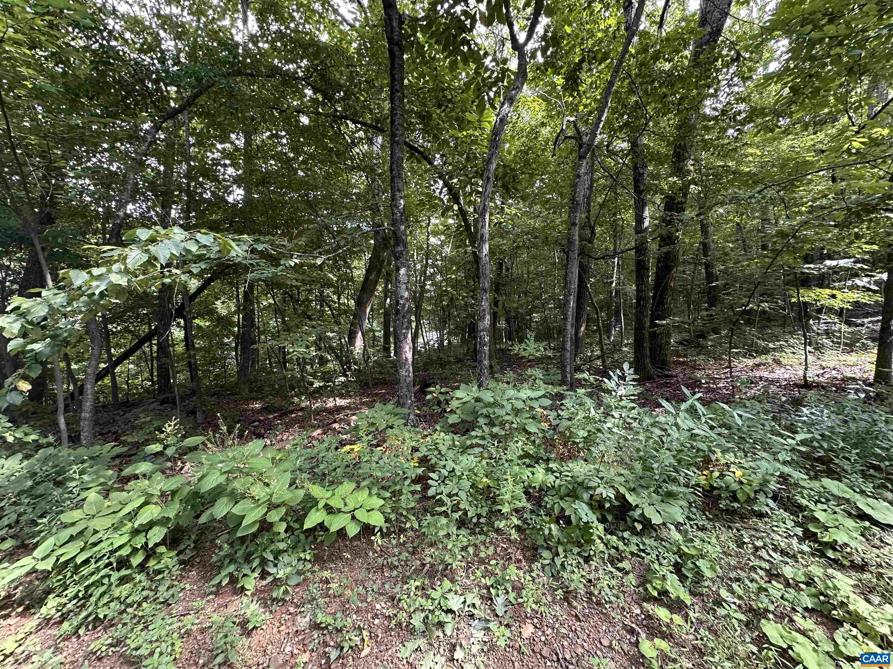 11 FAIRWAY OAKS LN, WINTERGREEN RESORT, Virginia 22967, ,Land,11 FAIRWAY OAKS LN,680815 MLS # 680815 11 FAIRWAY OAKS LN, WINTERGREEN RESORT, Virginia 22967, ,Land,11 FAIRWAY OAKS LN,680815 MLS # 680815