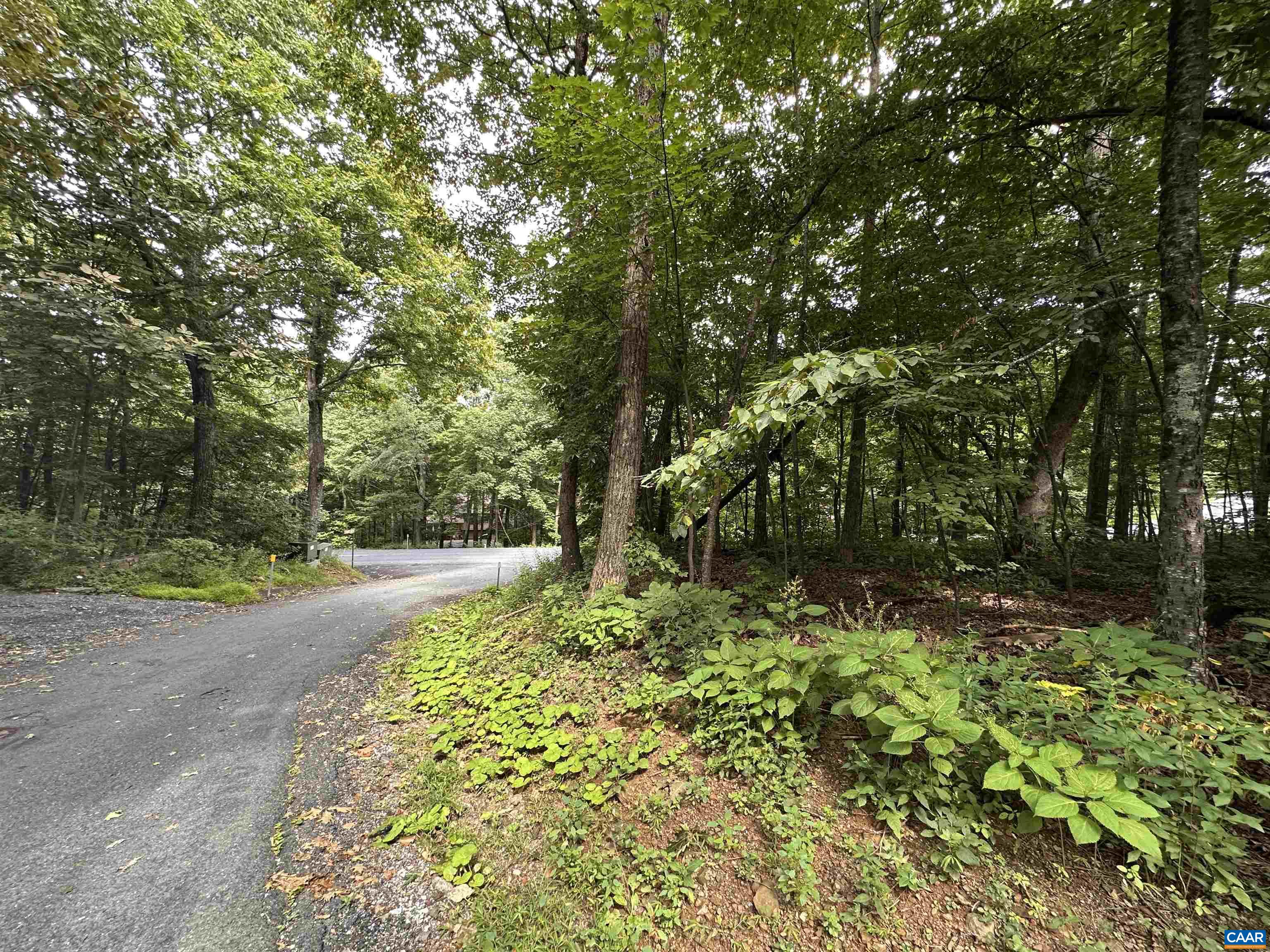 11 FAIRWAY OAKS LN, WINTERGREEN RESORT, Virginia 22967, ,Land,11 FAIRWAY OAKS LN,680815 MLS # 680815 11 FAIRWAY OAKS LN, WINTERGREEN RESORT, Virginia 22967, ,Land,11 FAIRWAY OAKS LN,680815 MLS # 680815