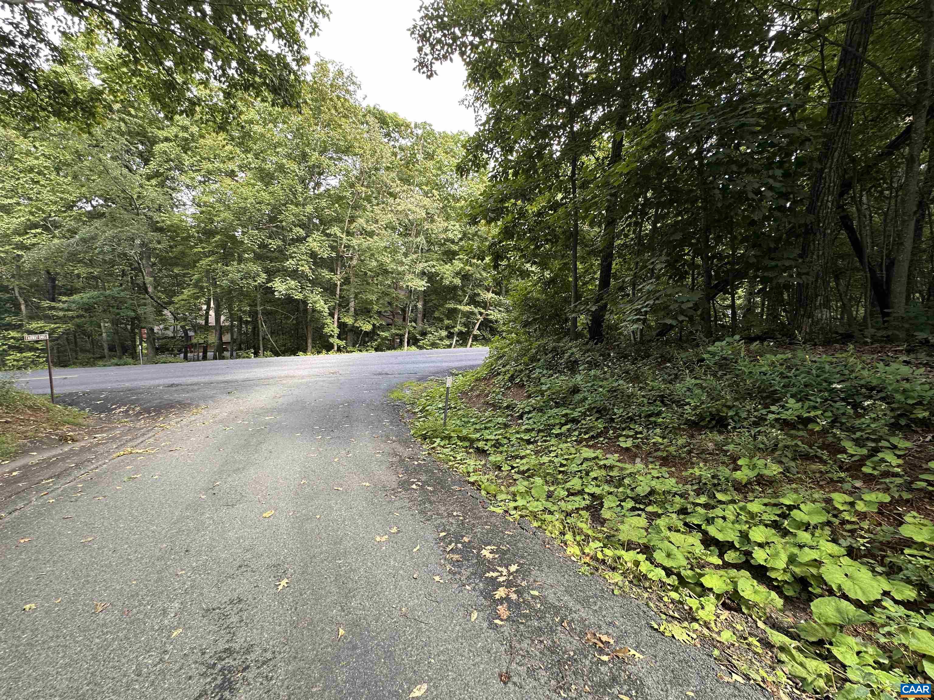 11 FAIRWAY OAKS LN, WINTERGREEN RESORT, Virginia 22967, ,Land,11 FAIRWAY OAKS LN,680815 MLS # 680815 11 FAIRWAY OAKS LN, WINTERGREEN RESORT, Virginia 22967, ,Land,11 FAIRWAY OAKS LN,680815 MLS # 680815