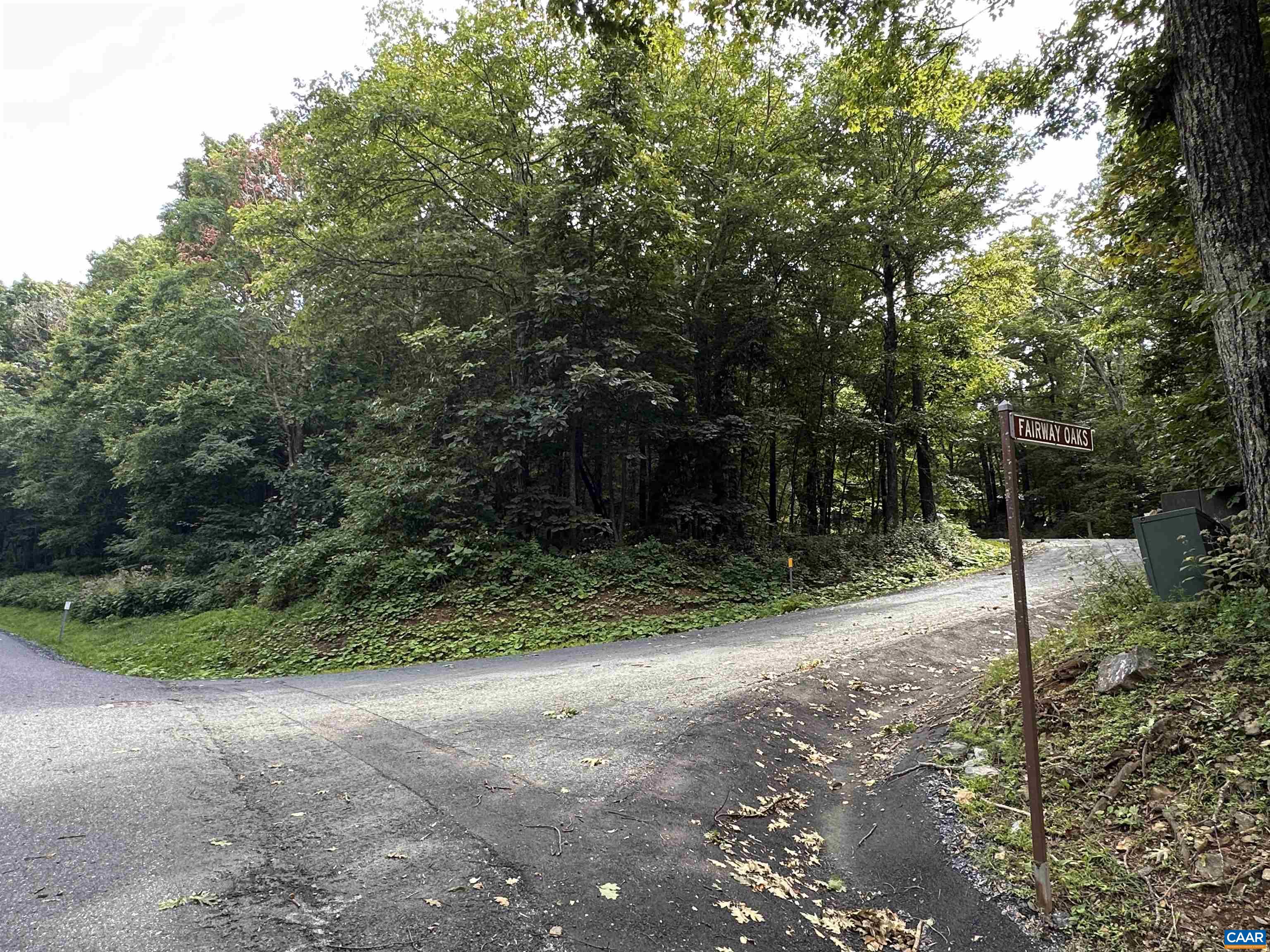 11 FAIRWAY OAKS LN, WINTERGREEN RESORT, Virginia 22967, ,Land,11 FAIRWAY OAKS LN,680815 MLS # 680815 11 FAIRWAY OAKS LN, WINTERGREEN RESORT, Virginia 22967, ,Land,11 FAIRWAY OAKS LN,680815 MLS # 680815