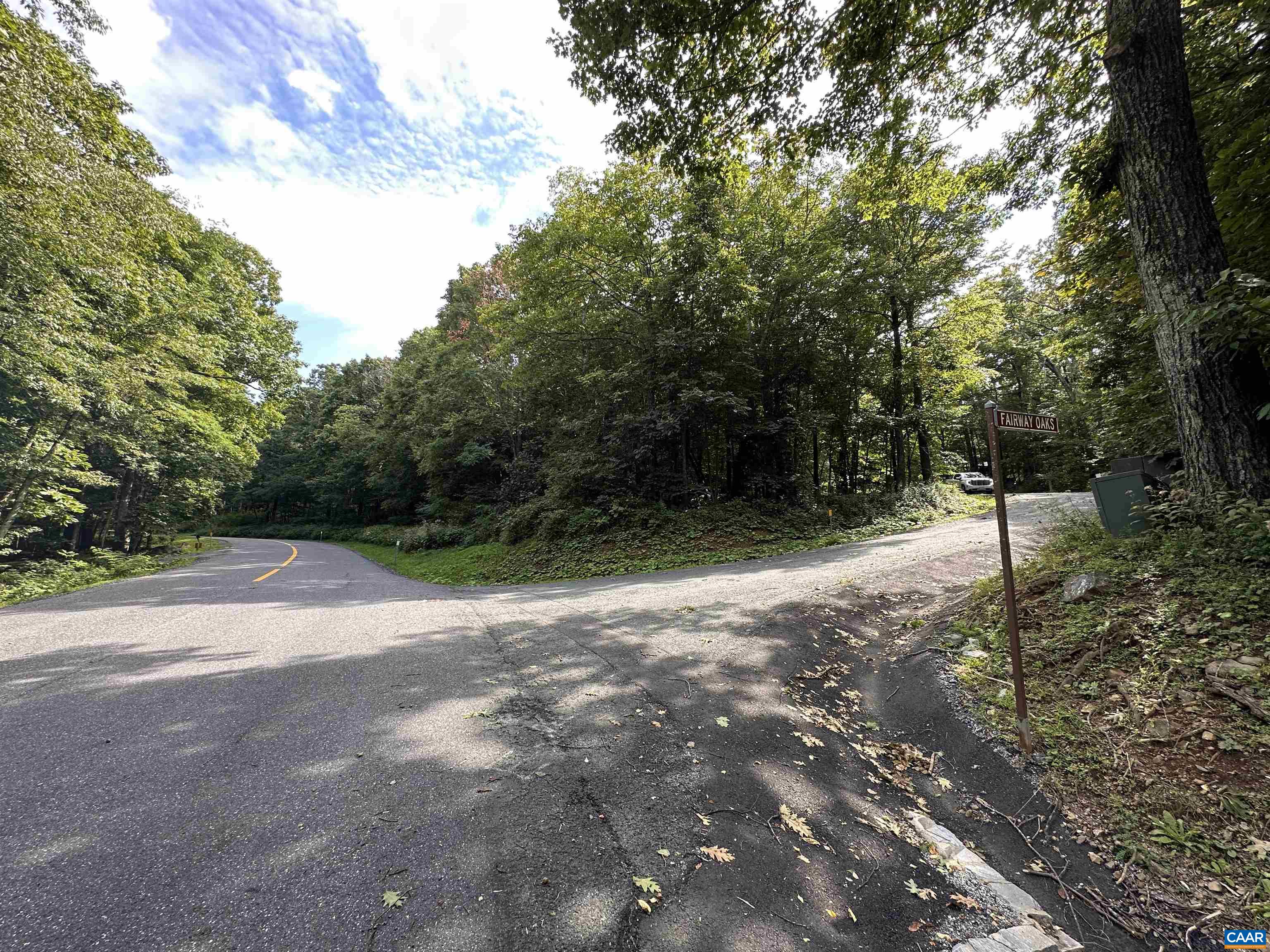 11 FAIRWAY OAKS LN, WINTERGREEN RESORT, Virginia 22967, ,Land,11 FAIRWAY OAKS LN,680815 MLS # 680815 11 FAIRWAY OAKS LN, WINTERGREEN RESORT, Virginia 22967, ,Land,11 FAIRWAY OAKS LN,680815 MLS # 680815
