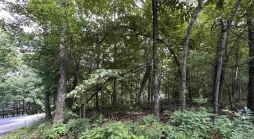 11 FAIRWAY OAKS LN, WINTERGREEN RESORT, Virginia 22967, ,Land,11 FAIRWAY OAKS LN,680815 MLS # 680815