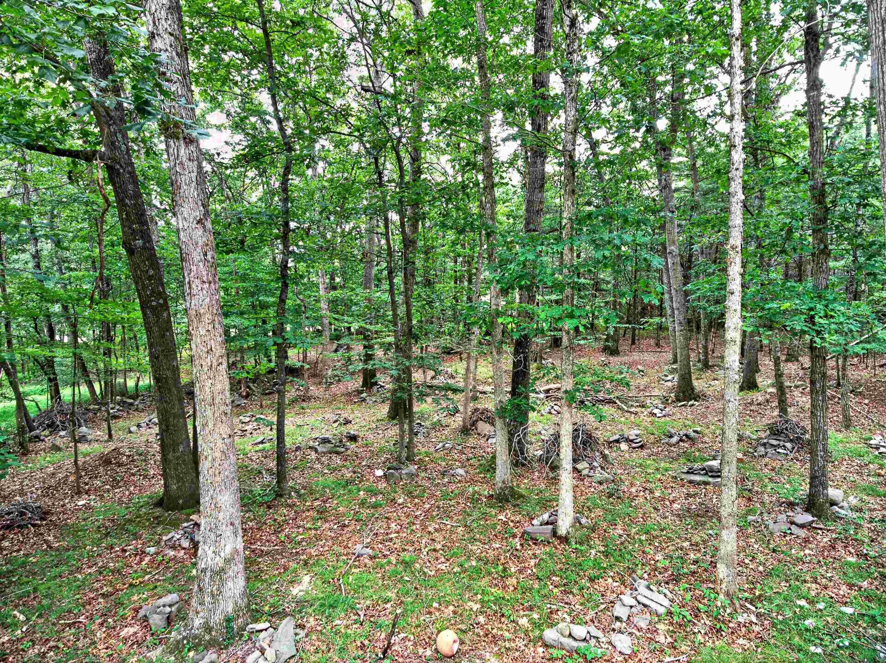 26 CHRISTIAN LN, SWOOPE, Virginia 24479, 3 Bedrooms Bedrooms, ,1 BathroomBathrooms,Residential,26 CHRISTIAN LN,680811 MLS # 680811 26 CHRISTIAN LN, SWOOPE, Virginia 24479, 3 Bedrooms Bedrooms, ,1 BathroomBathrooms,Residential,26 CHRISTIAN LN,680811 MLS # 680811