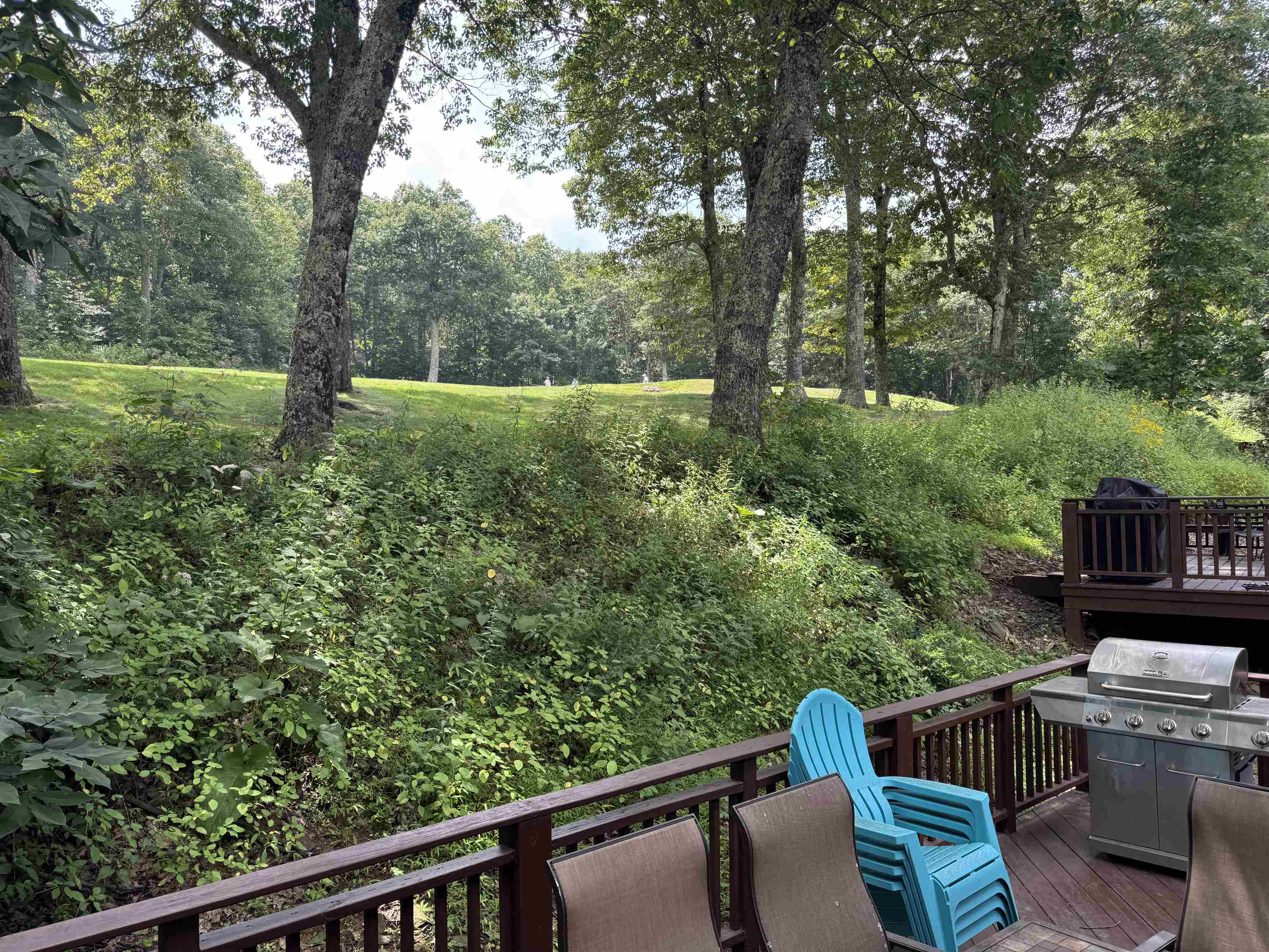 29 BRIARWOOD LN, WINTERGREEN RESORT, Virginia 22967, 4 Bedrooms Bedrooms, ,3 BathroomsBathrooms,Residential,29 BRIARWOOD LN,680564 MLS # 680564