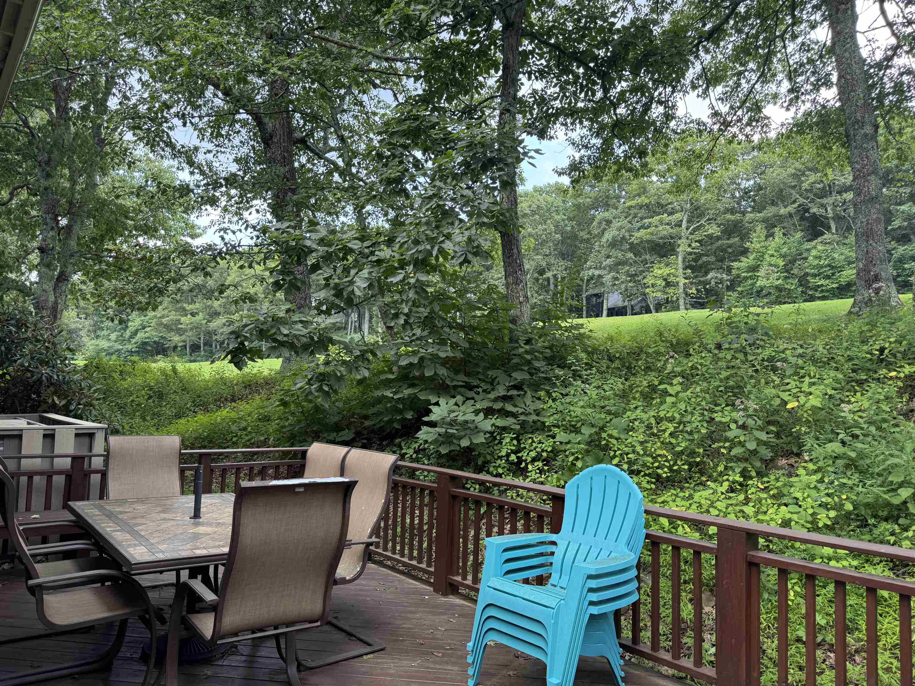 29 BRIARWOOD LN, WINTERGREEN RESORT, Virginia 22967, 4 Bedrooms Bedrooms, ,3 BathroomsBathrooms,Residential,29 BRIARWOOD LN,680564 MLS # 680564