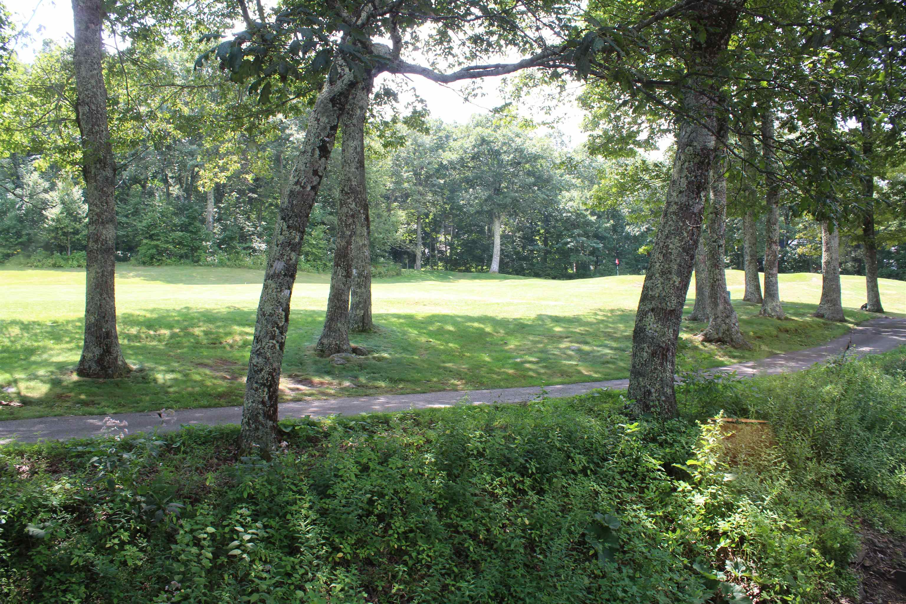 29 BRIARWOOD LN, WINTERGREEN RESORT, Virginia 22967, 4 Bedrooms Bedrooms, ,3 BathroomsBathrooms,Residential,29 BRIARWOOD LN,680564 MLS # 680564