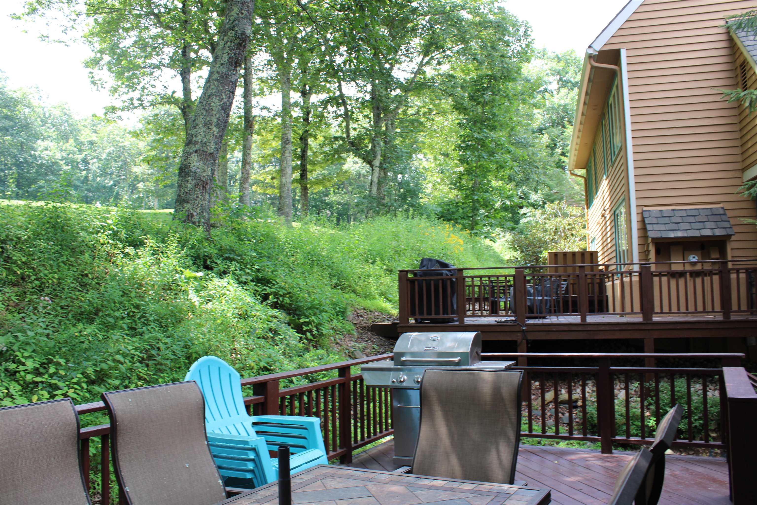 29 BRIARWOOD LN, WINTERGREEN RESORT, Virginia 22967, 4 Bedrooms Bedrooms, ,3 BathroomsBathrooms,Residential,29 BRIARWOOD LN,680564 MLS # 680564