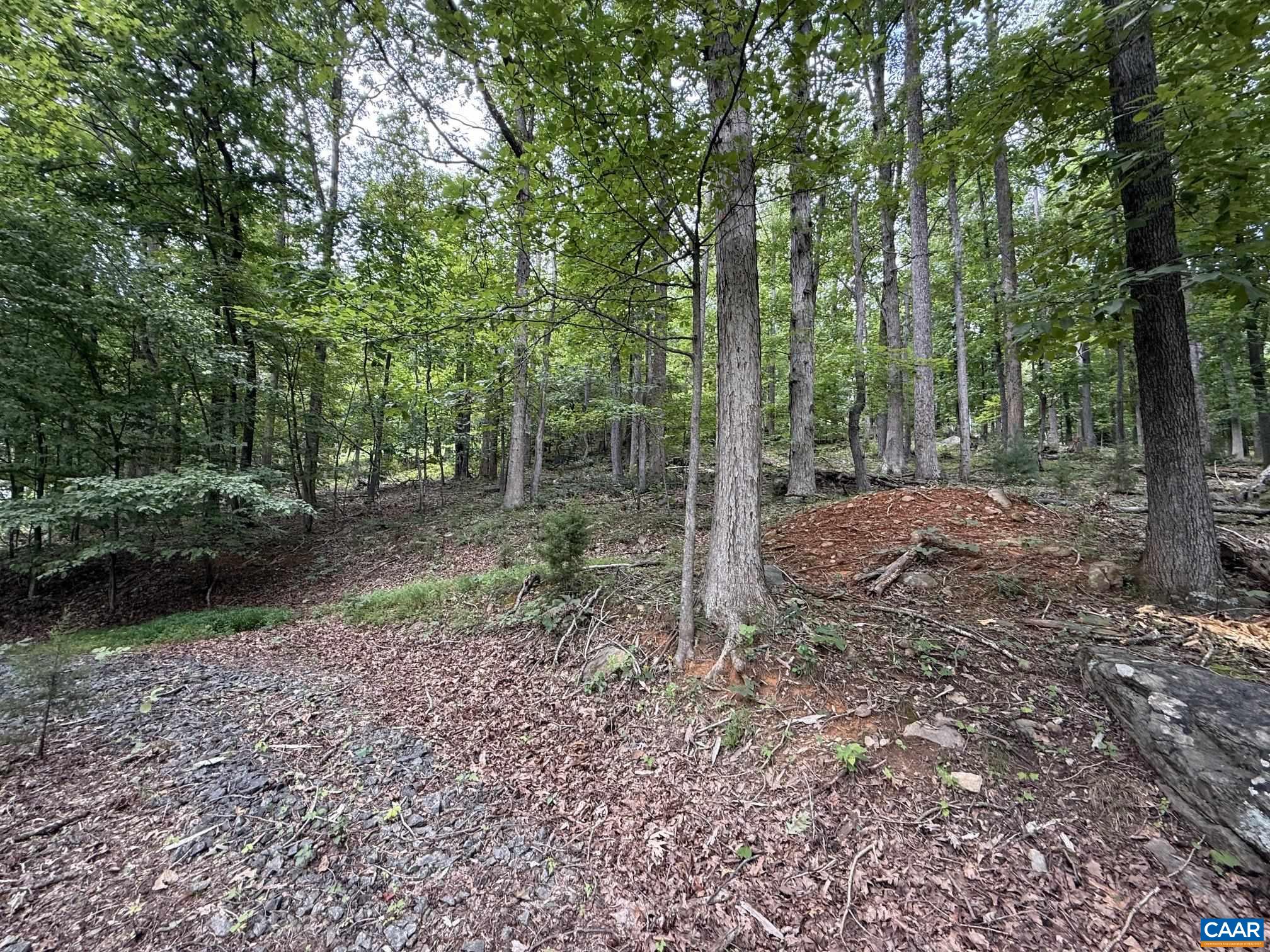 1283 RODES VALLEY DR, NELLYSFORD, Virginia 22958, ,Land,1283 RODES VALLEY DR,680841 MLS # 680841