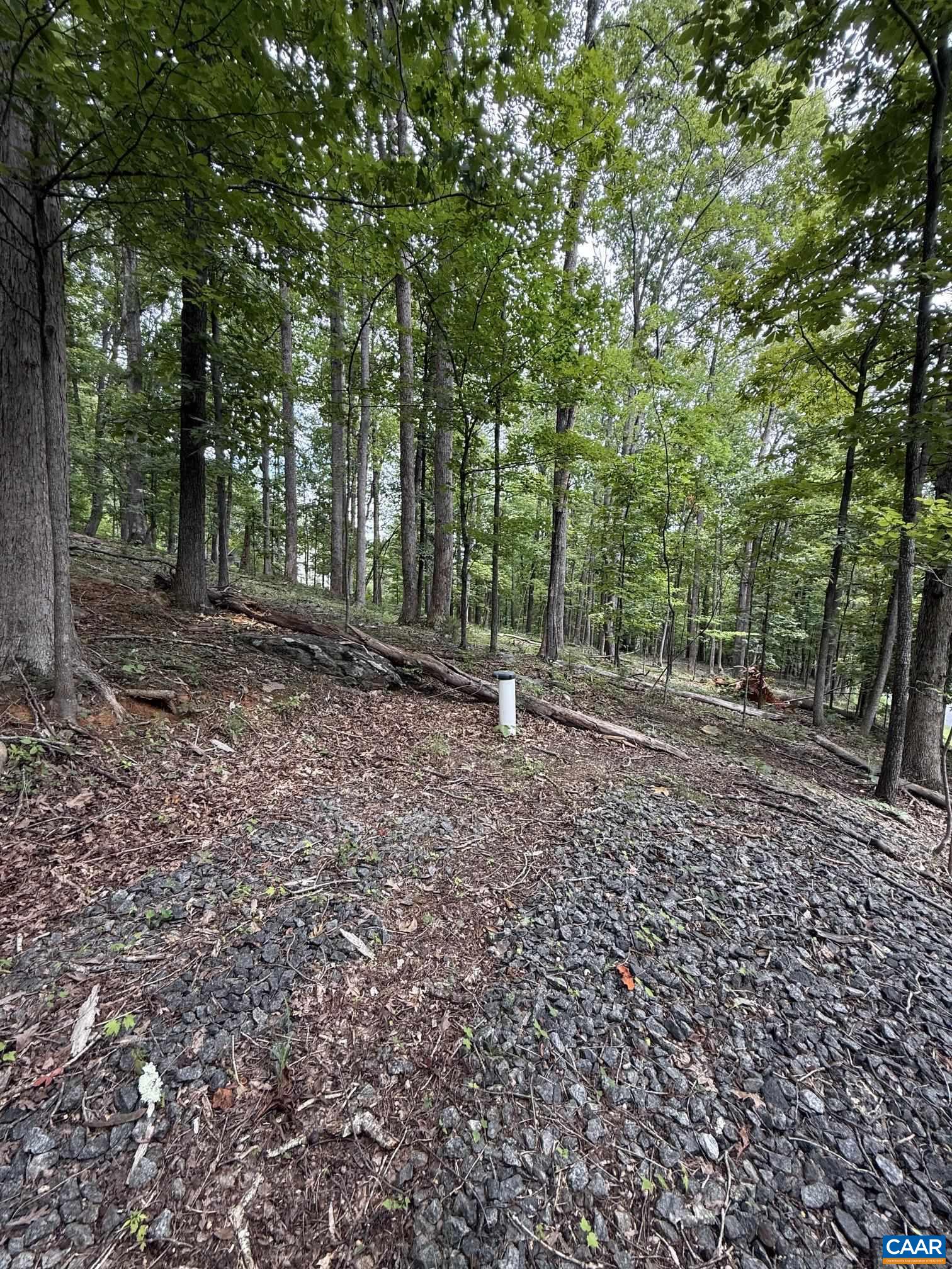 1283 RODES VALLEY DR, NELLYSFORD, Virginia 22958, ,Land,1283 RODES VALLEY DR,680841 MLS # 680841 1283 RODES VALLEY DR, NELLYSFORD, Virginia 22958, ,Land,1283 RODES VALLEY DR,680841 MLS # 680841
