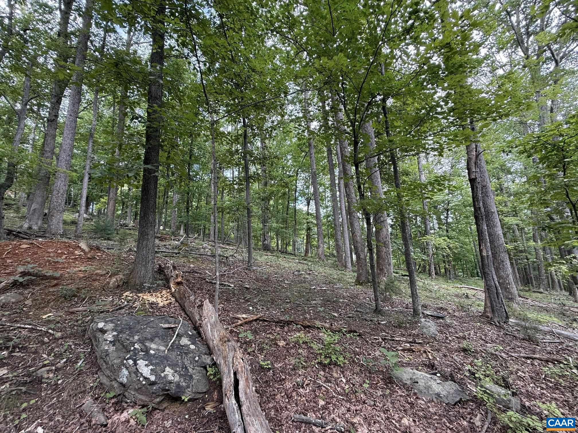 1283 RODES VALLEY DR, NELLYSFORD, Virginia 22958, ,Land,1283 RODES VALLEY DR,680841 MLS # 680841 1283 RODES VALLEY DR, NELLYSFORD, Virginia 22958, ,Land,1283 RODES VALLEY DR,680841 MLS # 680841