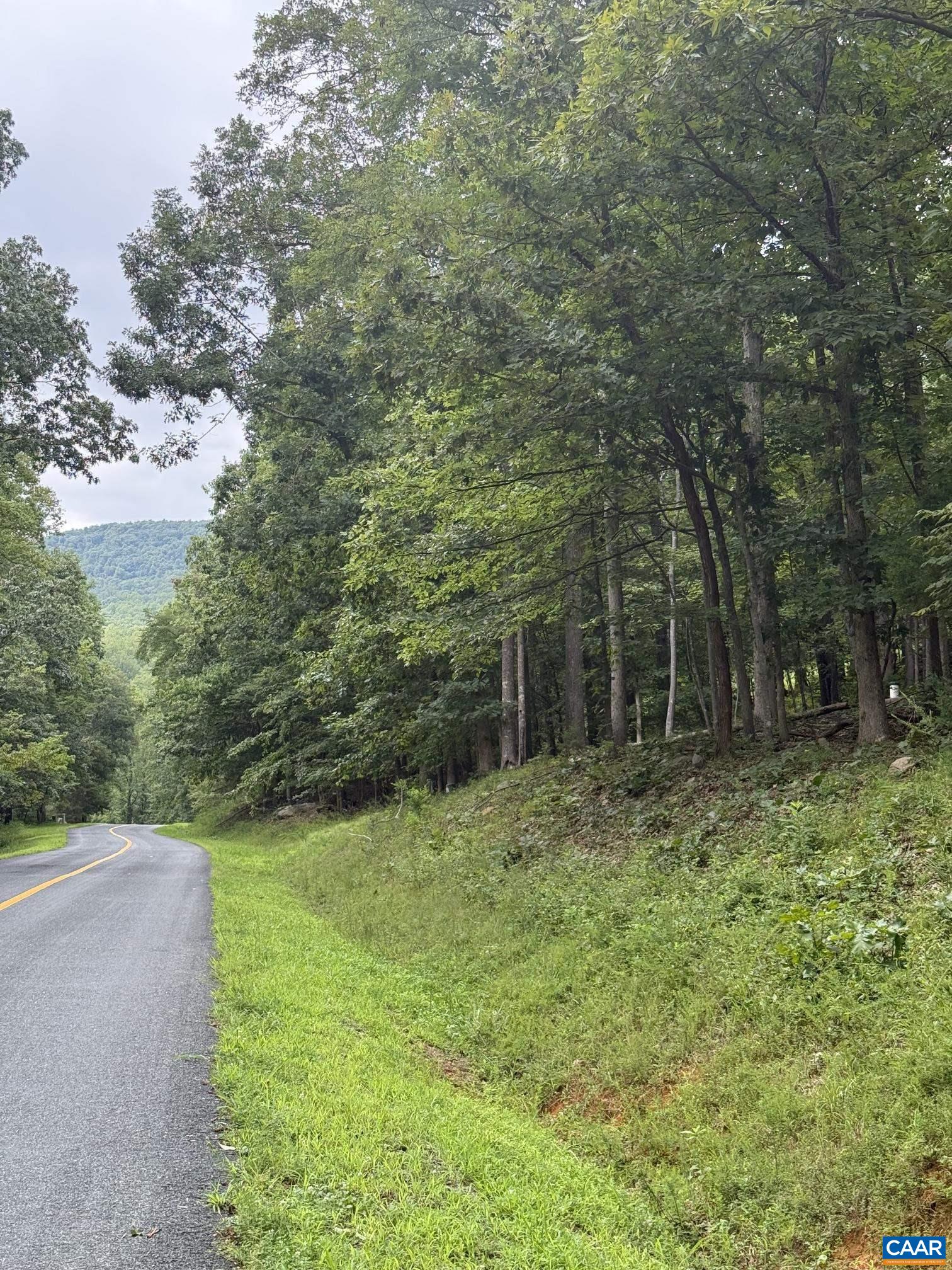 1283 RODES VALLEY DR, NELLYSFORD, Virginia 22958, ,Land,1283 RODES VALLEY DR,680841 MLS # 680841 1283 RODES VALLEY DR, NELLYSFORD, Virginia 22958, ,Land,1283 RODES VALLEY DR,680841 MLS # 680841