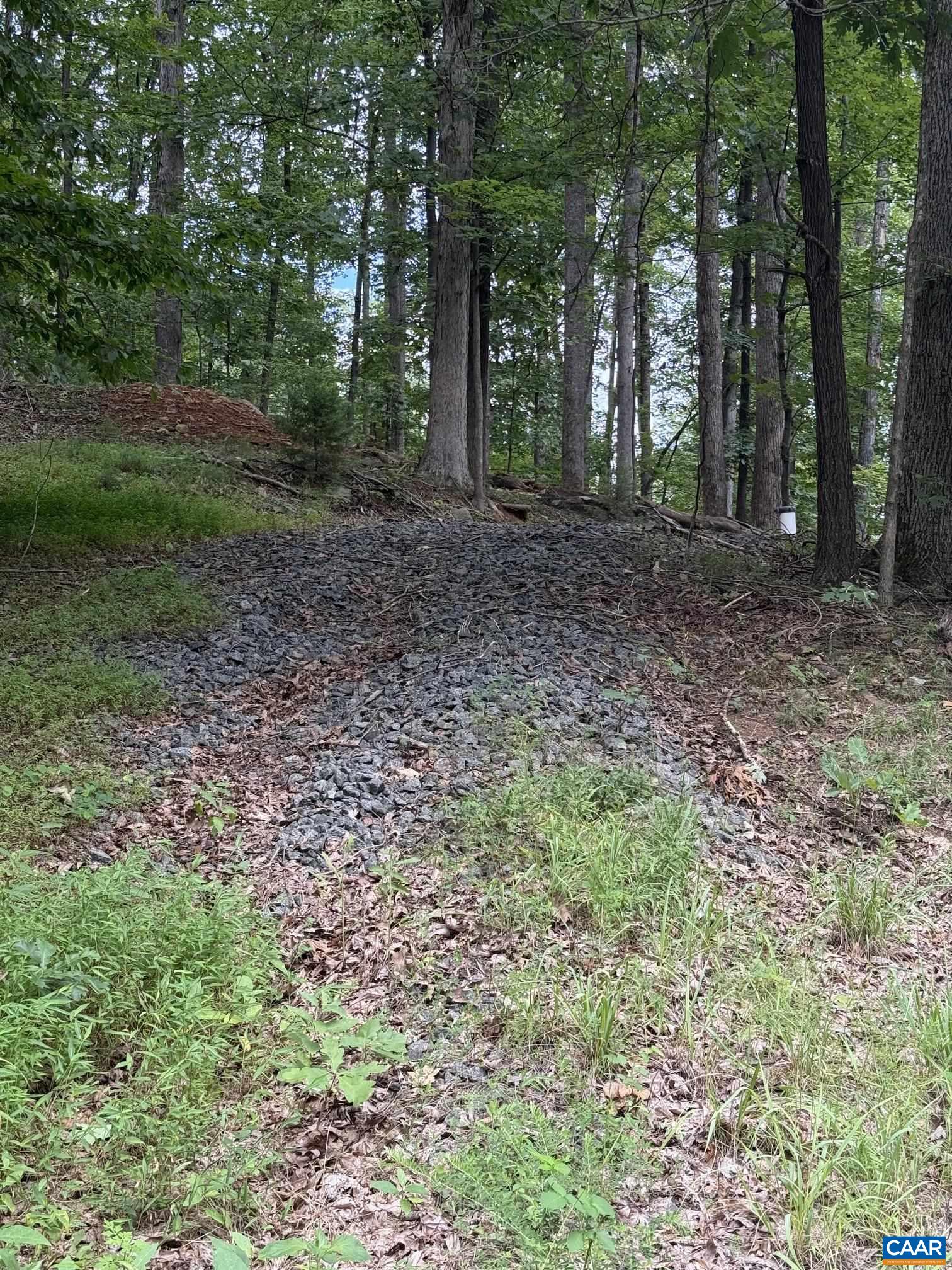 1283 RODES VALLEY DR, NELLYSFORD, Virginia 22958, ,Land,1283 RODES VALLEY DR,680841 MLS # 680841 1283 RODES VALLEY DR, NELLYSFORD, Virginia 22958, ,Land,1283 RODES VALLEY DR,680841 MLS # 680841
