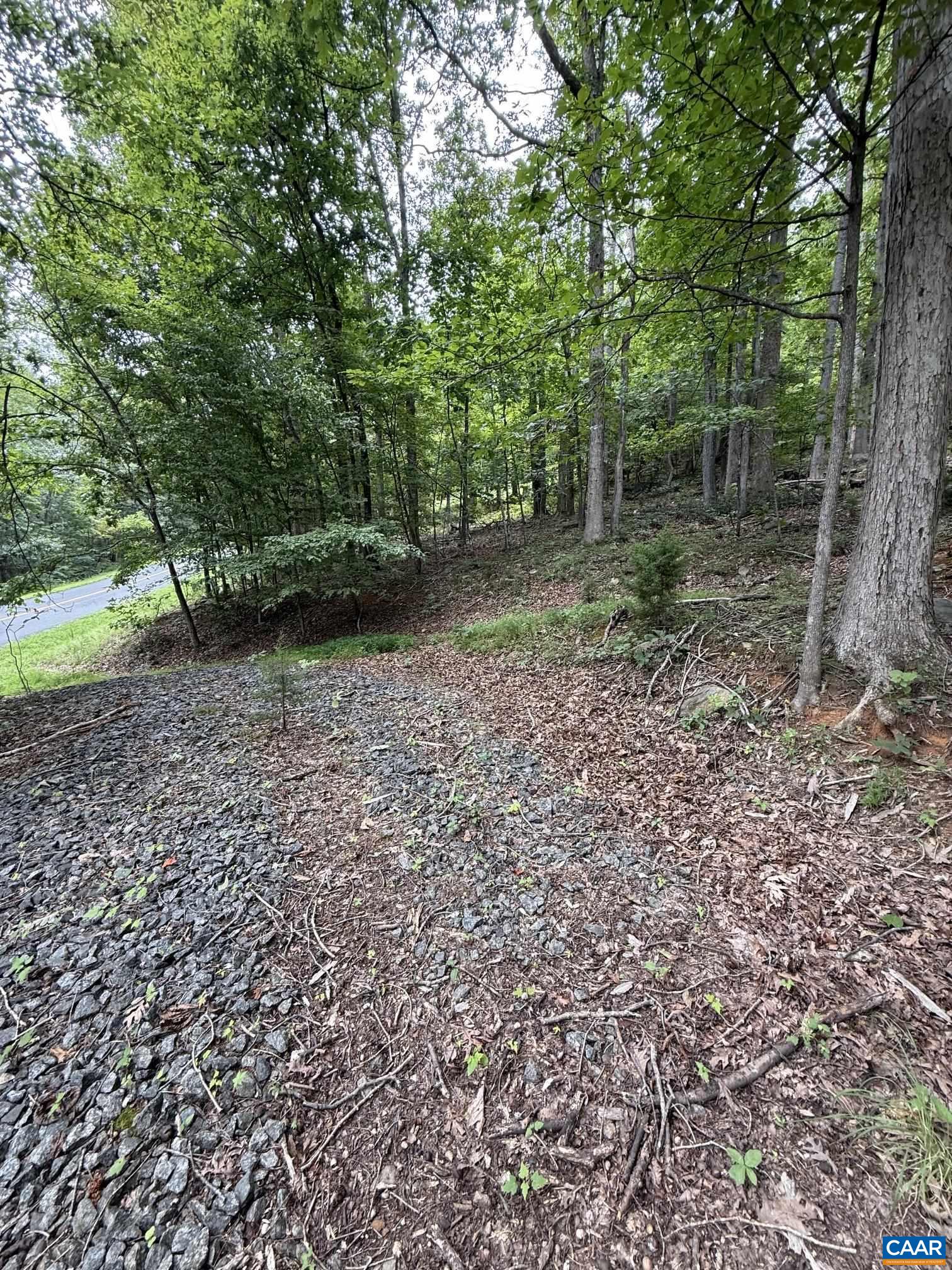 1283 RODES VALLEY DR, NELLYSFORD, Virginia 22958, ,Land,1283 RODES VALLEY DR,680841 MLS # 680841 1283 RODES VALLEY DR, NELLYSFORD, Virginia 22958, ,Land,1283 RODES VALLEY DR,680841 MLS # 680841