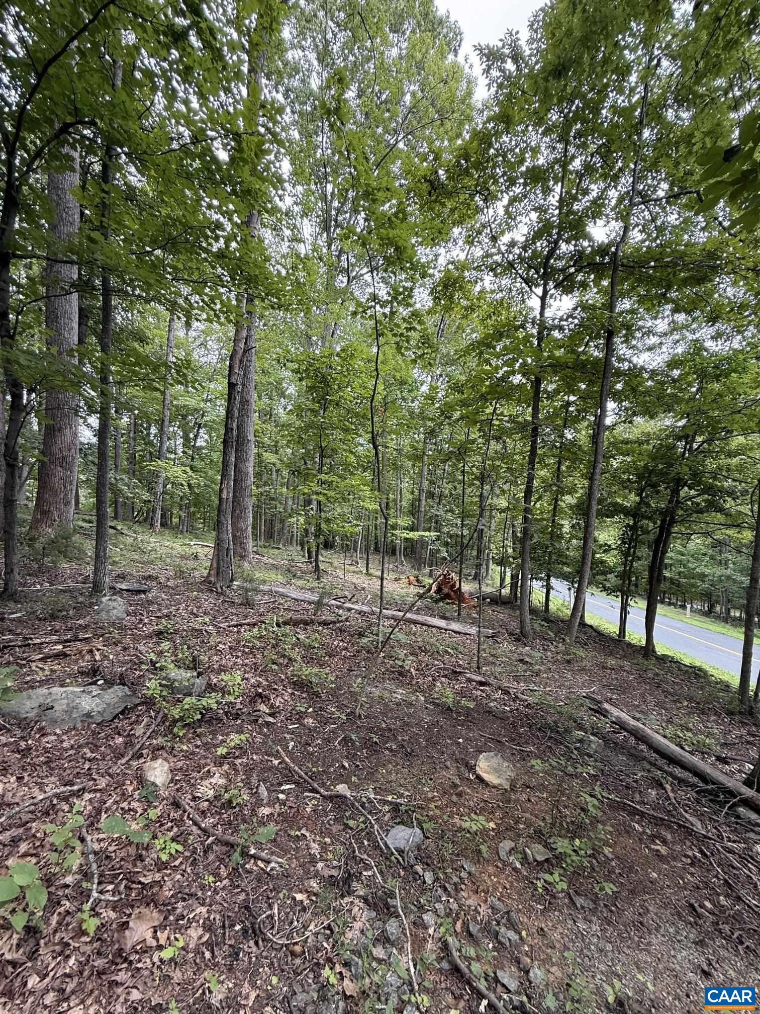 1283 RODES VALLEY DR, NELLYSFORD, Virginia 22958, ,Land,1283 RODES VALLEY DR,680841 MLS # 680841 1283 RODES VALLEY DR, NELLYSFORD, Virginia 22958, ,Land,1283 RODES VALLEY DR,680841 MLS # 680841