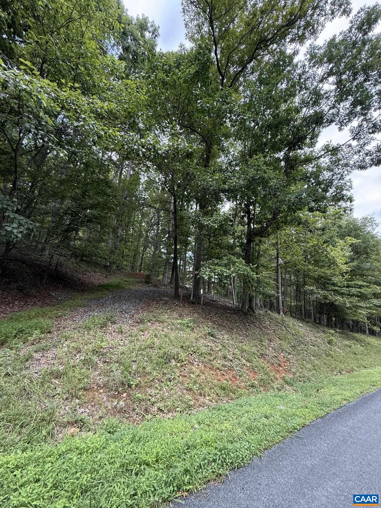 1283 RODES VALLEY DR, NELLYSFORD, Virginia 22958, ,Land,1283 RODES VALLEY DR,680841 MLS # 680841 1283 RODES VALLEY DR, NELLYSFORD, Virginia 22958, ,Land,1283 RODES VALLEY DR,680841 MLS # 680841