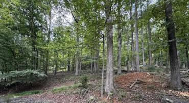 1283 RODES VALLEY DR, NELLYSFORD, Virginia 22958, ,Land,1283 RODES VALLEY DR,680841 MLS # 680841