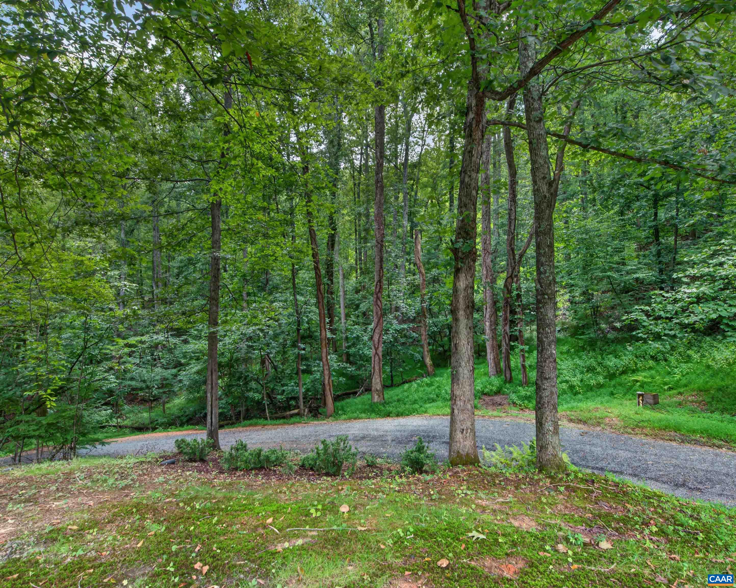 398 RUTH HOLLOW FIRE TRL, MADISON, Virginia 22727, 3 Bedrooms Bedrooms, ,3 BathroomsBathrooms,Residential,398 RUTH HOLLOW FIRE TRL,680849 MLS # 680849