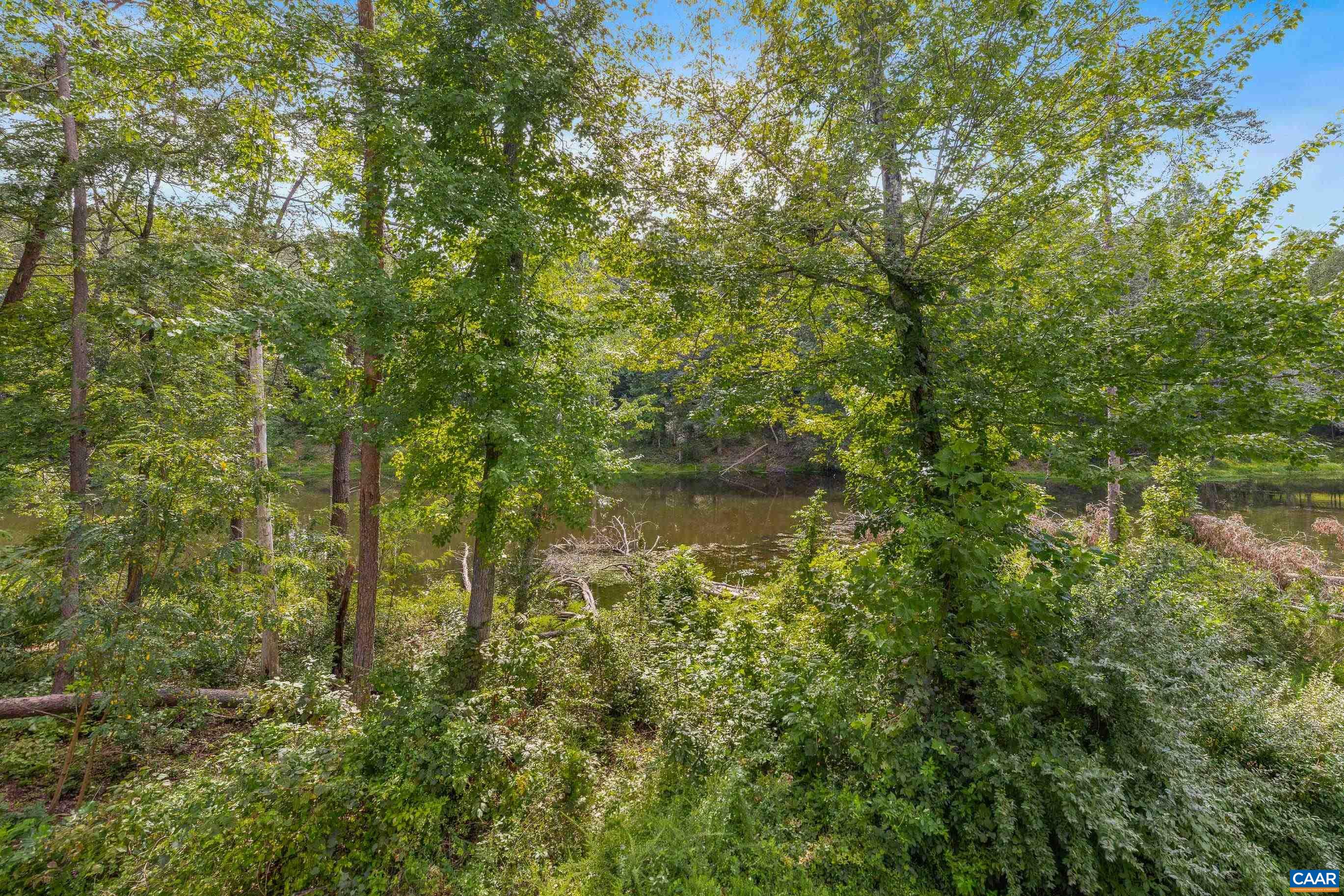 6272 FLINTSTONE DR, BARBOURSVILLE, Virginia 22923, 3 Bedrooms Bedrooms, ,2 BathroomsBathrooms,Residential,6272 FLINTSTONE DR,680846 MLS # 680846 6272 FLINTSTONE DR, BARBOURSVILLE, Virginia 22923, 3 Bedrooms Bedrooms, ,2 BathroomsBathrooms,Residential,6272 FLINTSTONE DR,680846 MLS # 680846