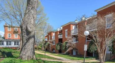 804 E JEFFERSON ST, CHARLOTTESVILLE, Virginia 22902, 2 Bedrooms Bedrooms, ,2 BathroomsBathrooms,Residential,804 E JEFFERSON ST,680870 MLS # 680870