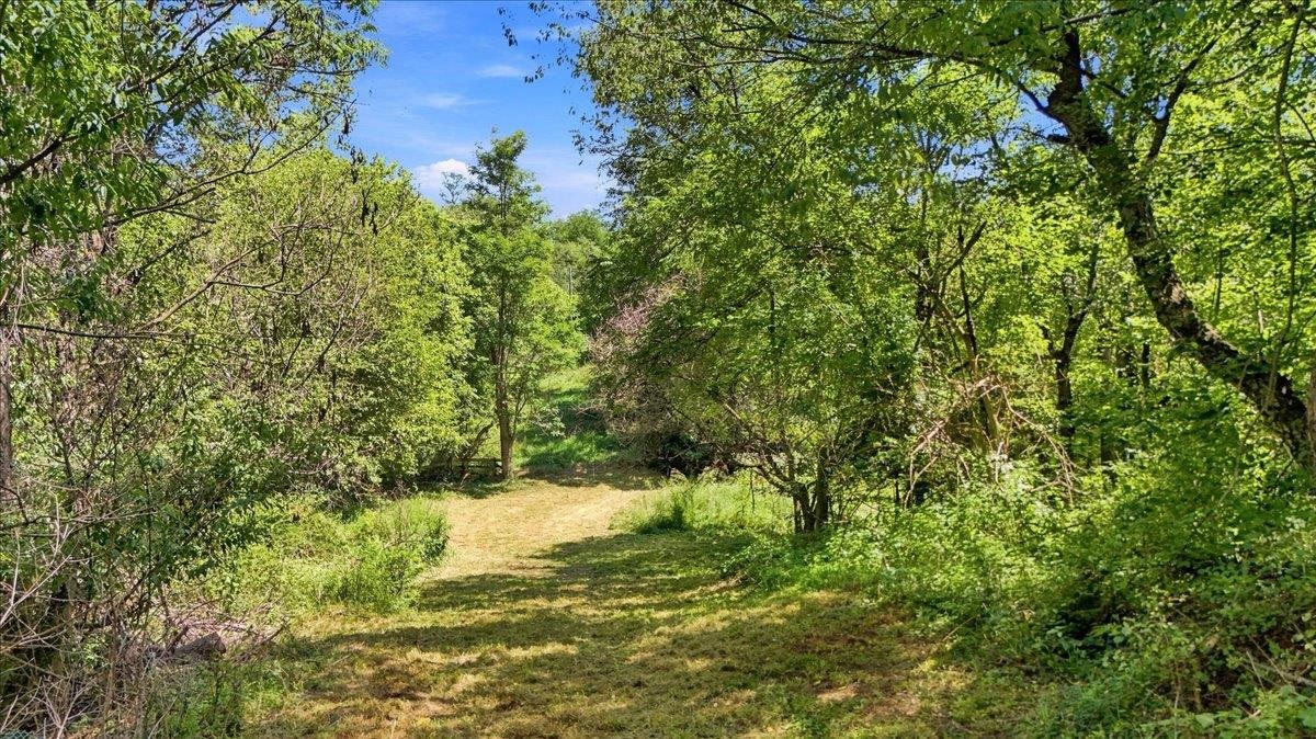TBD PLEASANT VALLEY RD, ROCKINGHAM, Virginia 22801, ,Land,TBD PLEASANT VALLEY RD,680898 MLS # 680898