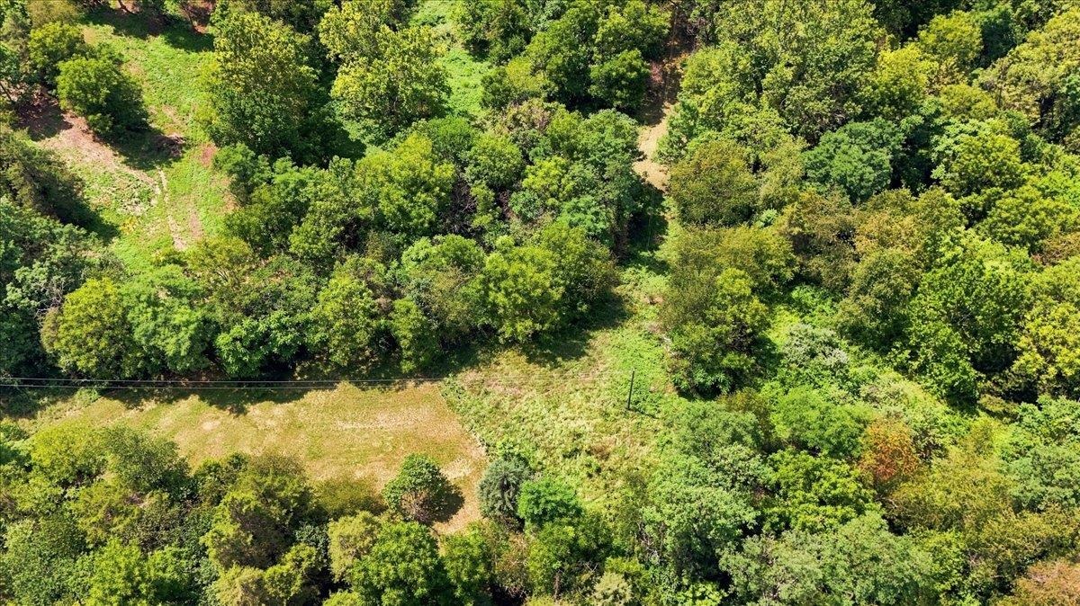 TBD PLEASANT VALLEY RD, ROCKINGHAM, Virginia 22801, ,Land,TBD PLEASANT VALLEY RD,680898 MLS # 680898