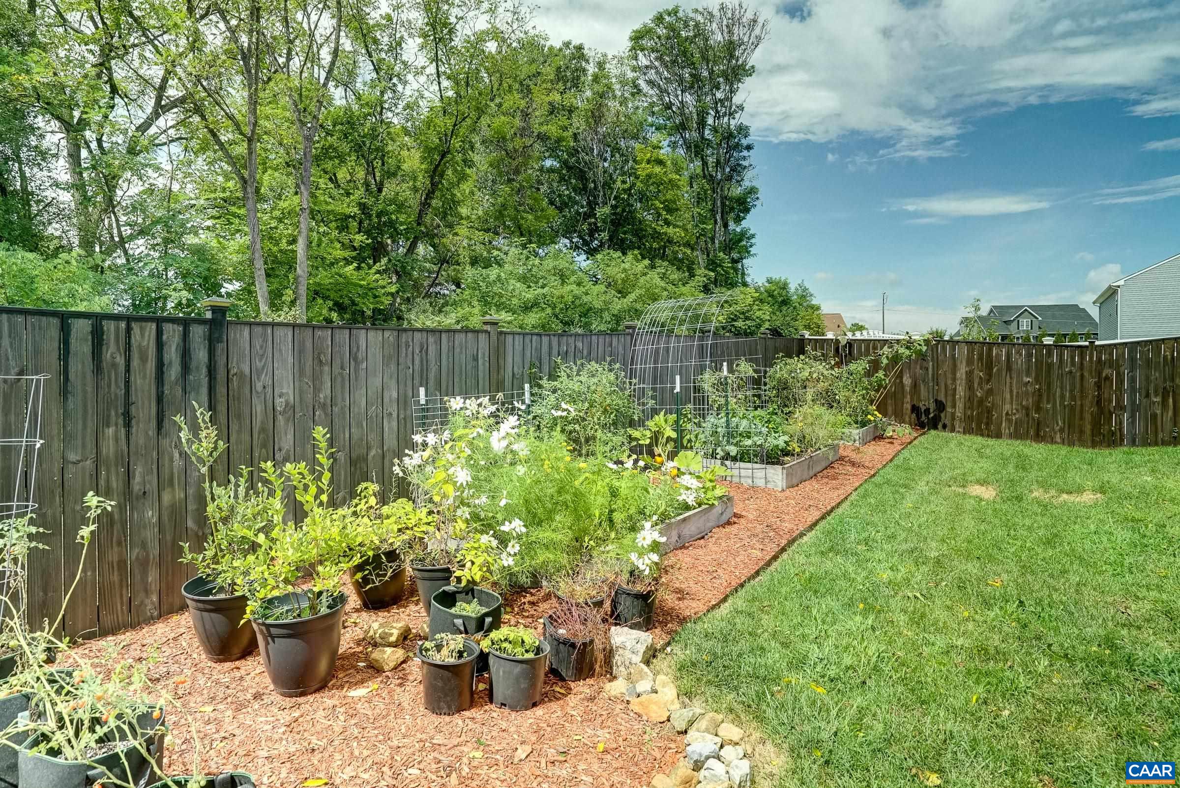 Backs to green space for privacy Backs to green space for privacy