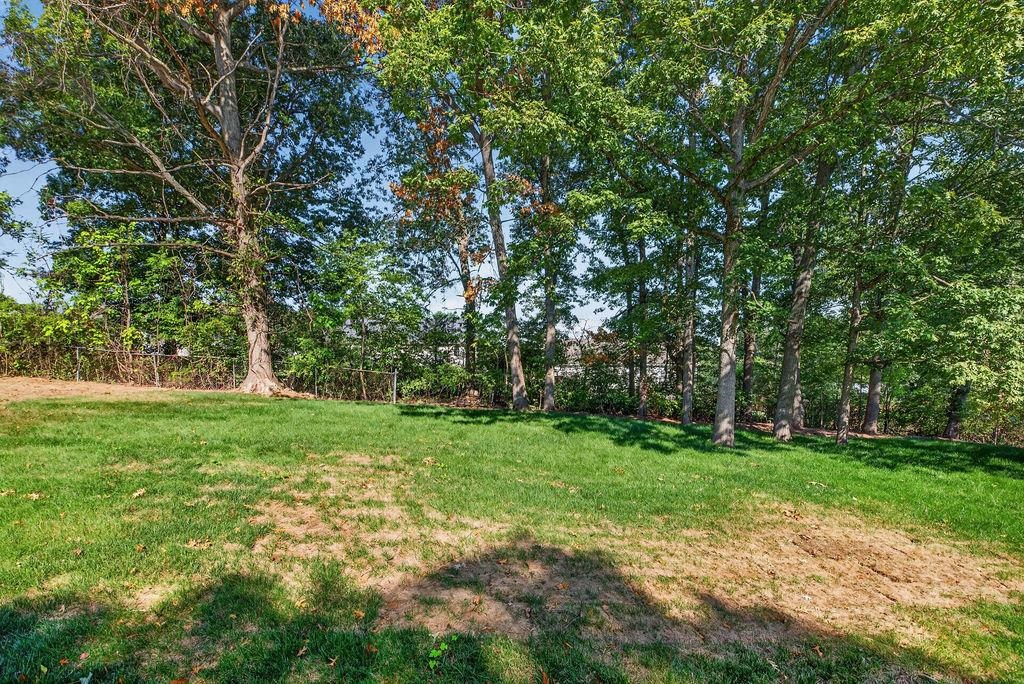 1229 JACKSON AVE, WAYNESBORO, Virginia 22980, 3 Bedrooms Bedrooms, ,2 BathroomsBathrooms,Residential,1229 JACKSON AVE,680913 MLS # 680913