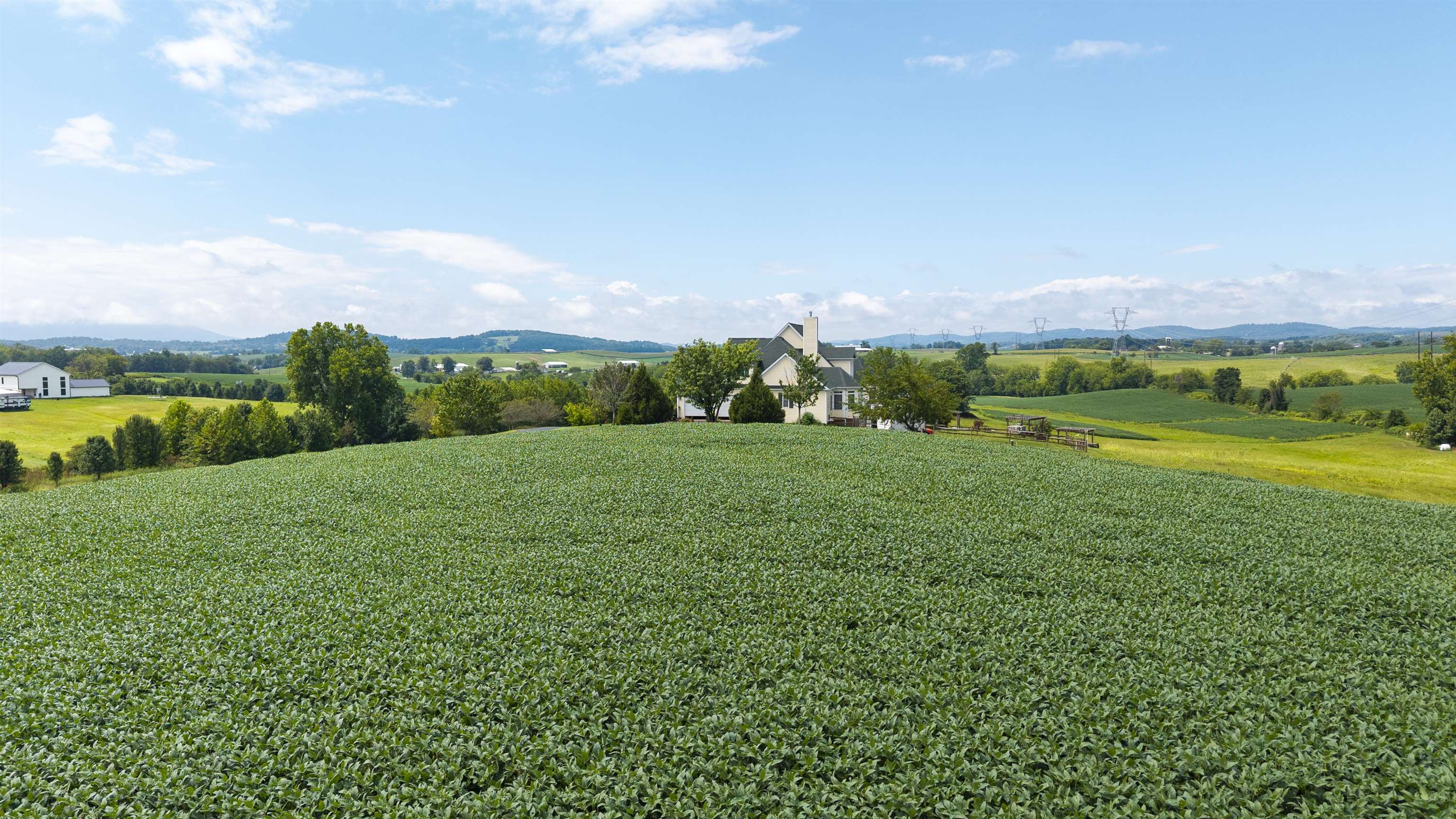 TBD 19.91 acres ESTATE LN, STAUNTON, Virginia 24401, ,Land,TBD 19.91 acres ESTATE LN,680932 MLS # 680932 TBD 19.91 acres ESTATE LN, STAUNTON, Virginia 24401, ,Land,TBD 19.91 acres ESTATE LN,680932 MLS # 680932