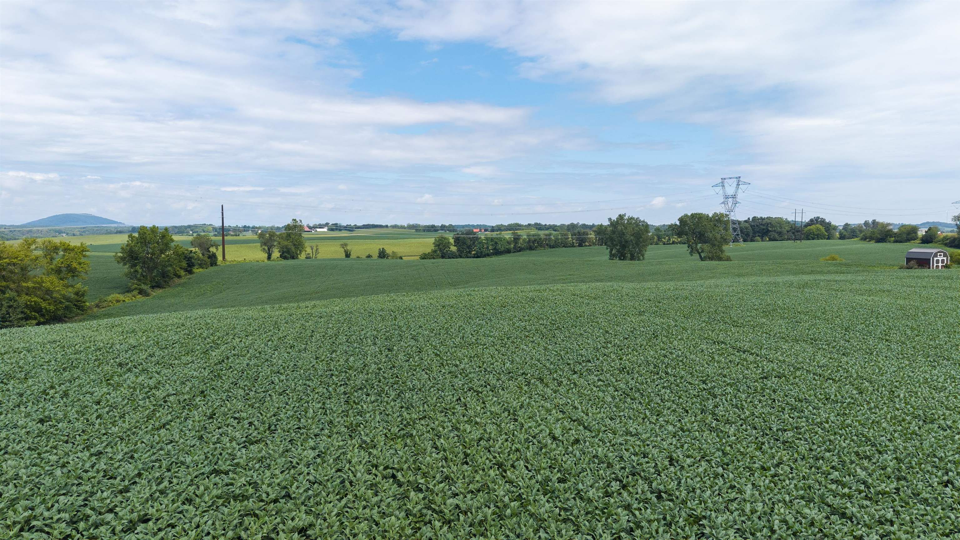 TBD 19.91 acres ESTATE LN, STAUNTON, Virginia 24401, ,Land,TBD 19.91 acres ESTATE LN,680932 MLS # 680932 TBD 19.91 acres ESTATE LN, STAUNTON, Virginia 24401, ,Land,TBD 19.91 acres ESTATE LN,680932 MLS # 680932