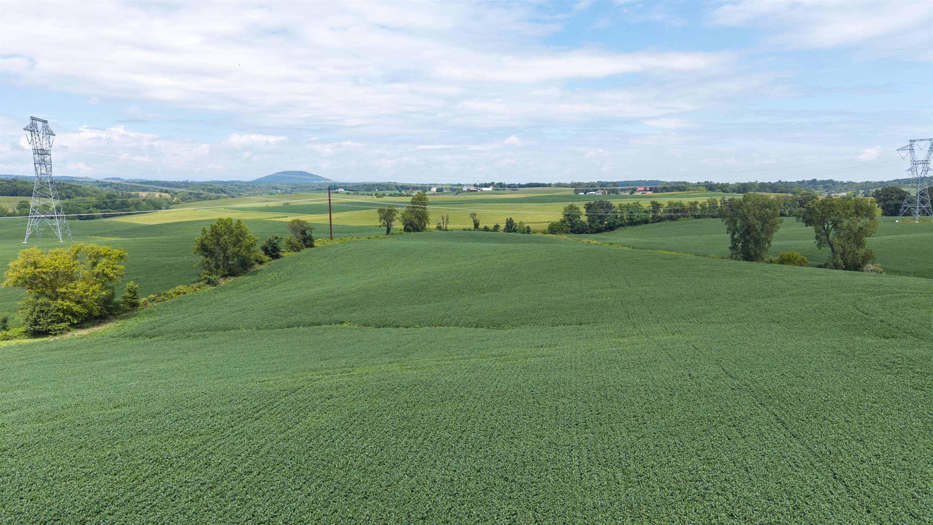 TBD 19.91 acres ESTATE LN, STAUNTON, Virginia 24401, ,Land,TBD 19.91 acres ESTATE LN,680932 MLS # 680932 TBD 19.91 acres ESTATE LN, STAUNTON, Virginia 24401, ,Land,TBD 19.91 acres ESTATE LN,680932 MLS # 680932