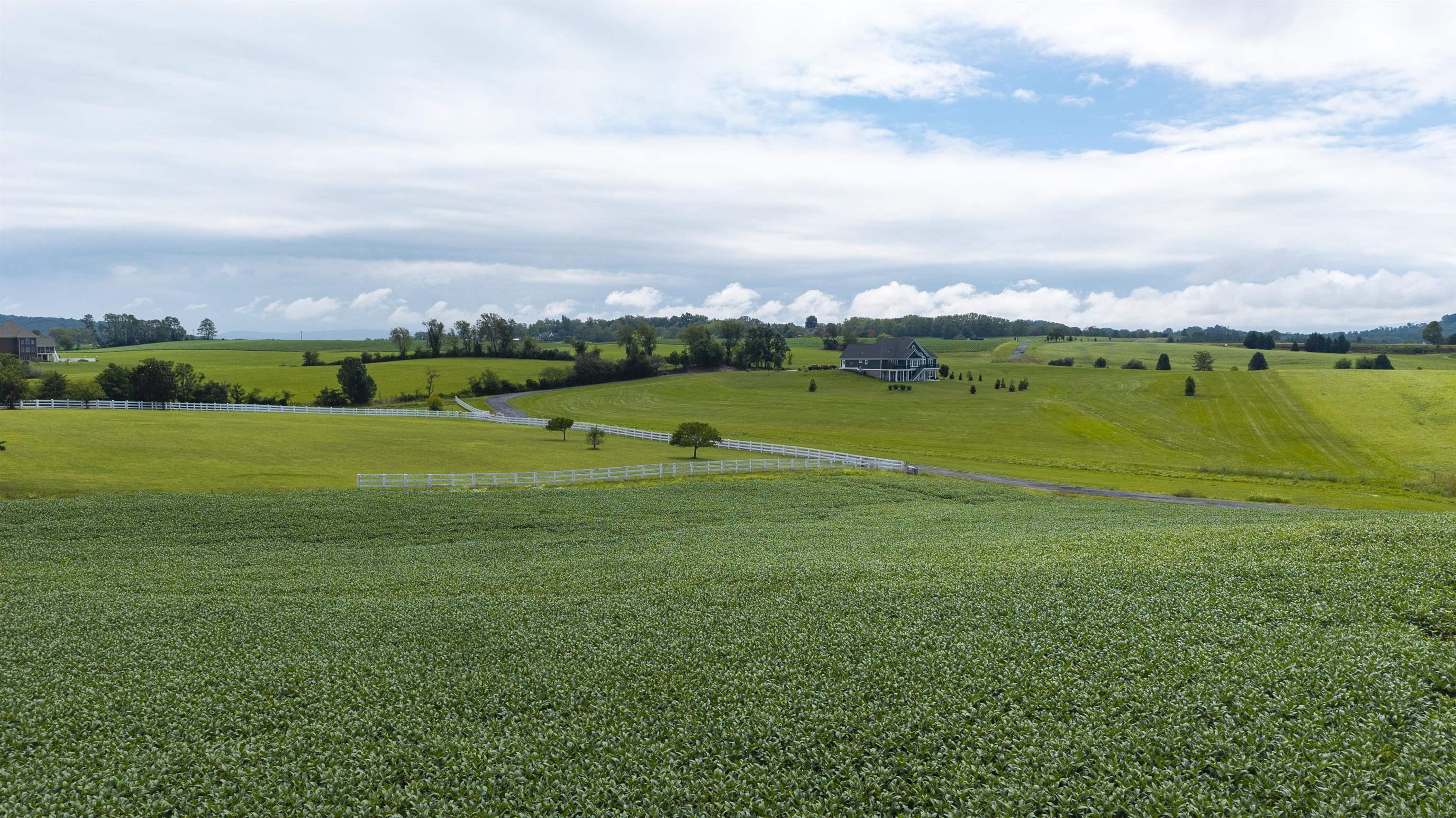 TBD 19.91 acres ESTATE LN, STAUNTON, Virginia 24401, ,Land,TBD 19.91 acres ESTATE LN,680932 MLS # 680932 TBD 19.91 acres ESTATE LN, STAUNTON, Virginia 24401, ,Land,TBD 19.91 acres ESTATE LN,680932 MLS # 680932
