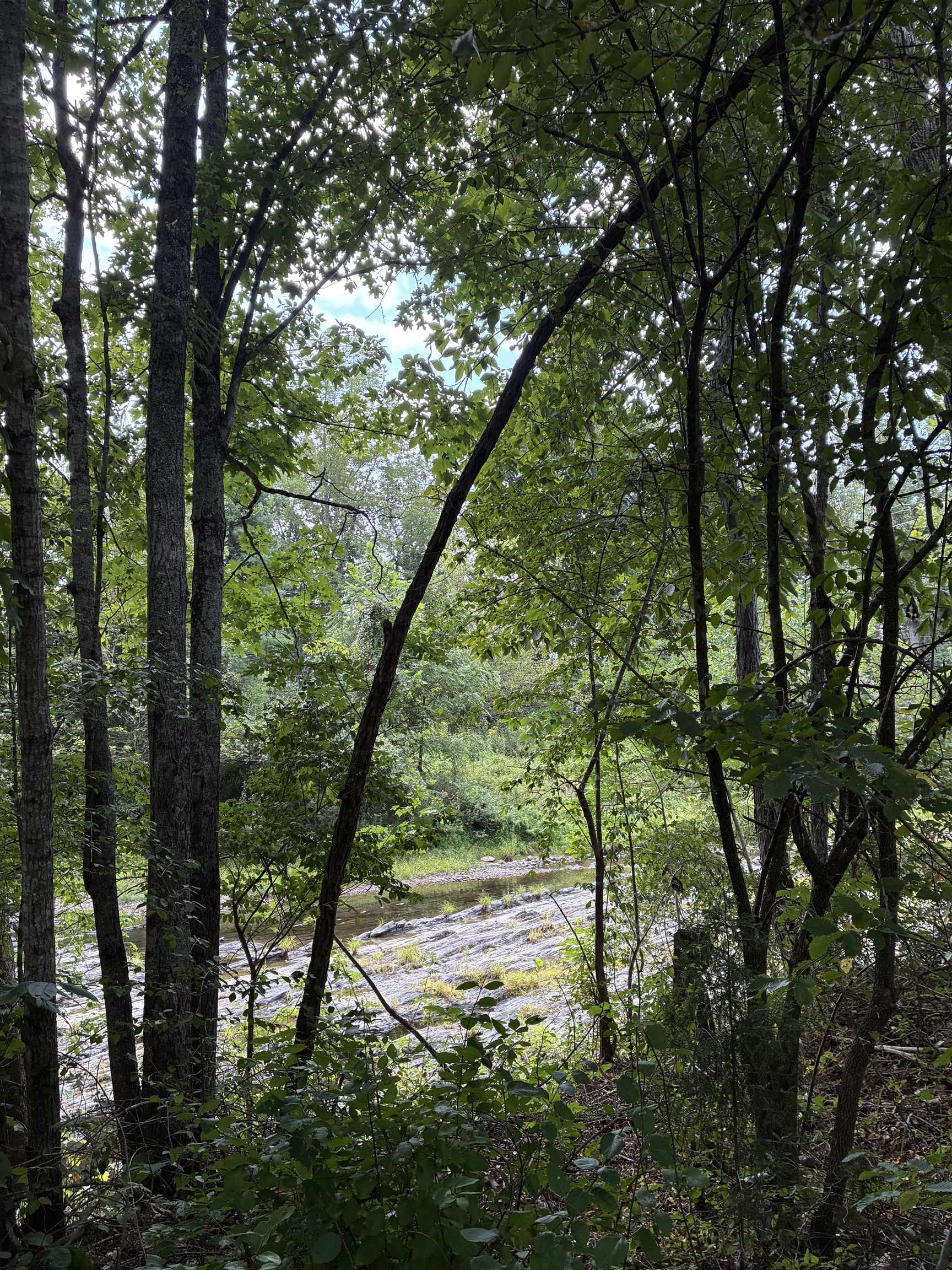 1830 DEERFIELD VALLEY RD, WEST AUGUSTA, Virginia 24485, ,Land,1830 DEERFIELD VALLEY RD,680935 MLS # 680935 1830 DEERFIELD VALLEY RD, WEST AUGUSTA, Virginia 24485, ,Land,1830 DEERFIELD VALLEY RD,680935 MLS # 680935