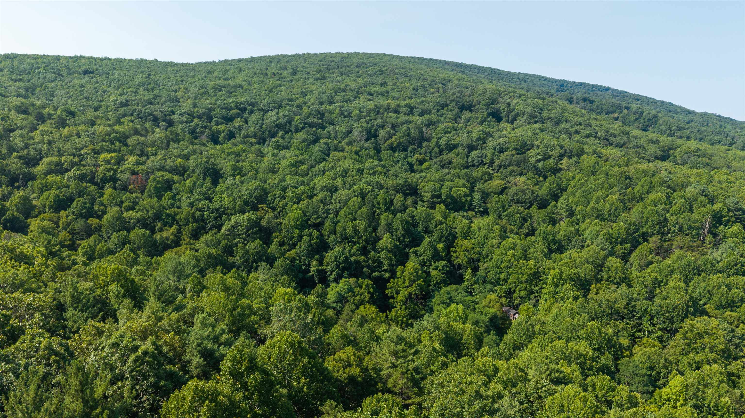 132 STILL HOUSE LN, DEERFIELD, Virginia 24432, ,Farm,132 STILL HOUSE LN,680945 MLS # 680945