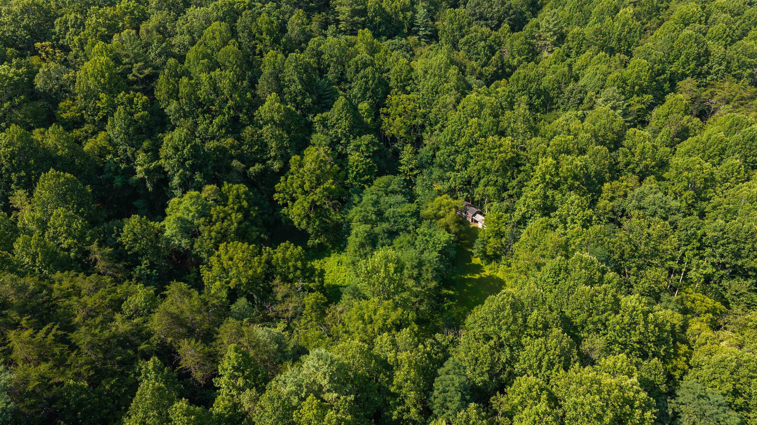 132 STILL HOUSE LN, DEERFIELD, Virginia 24432, ,Farm,132 STILL HOUSE LN,680945 MLS # 680945