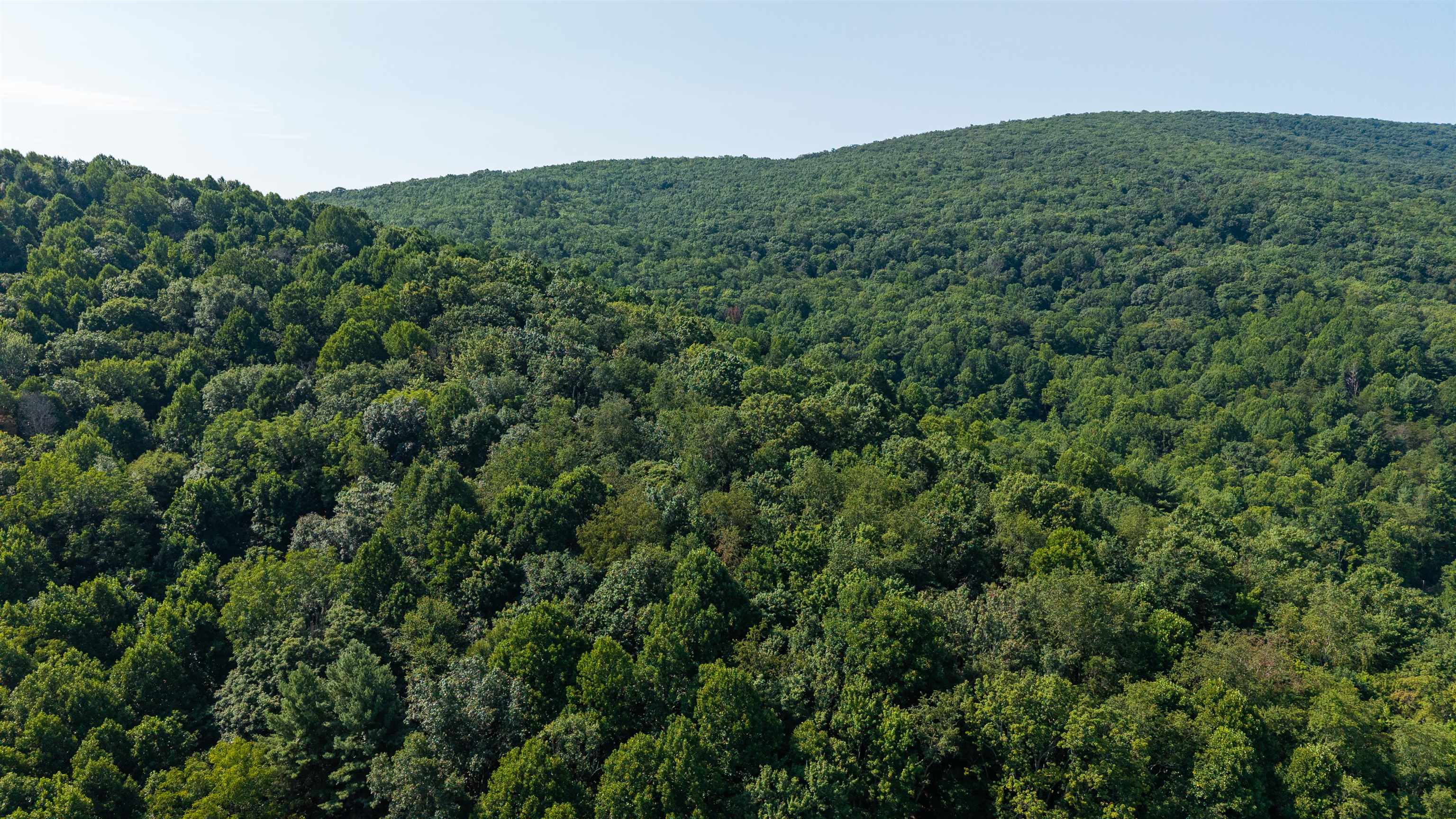 132 STILL HOUSE LN, DEERFIELD, Virginia 24432, ,Farm,132 STILL HOUSE LN,680945 MLS # 680945