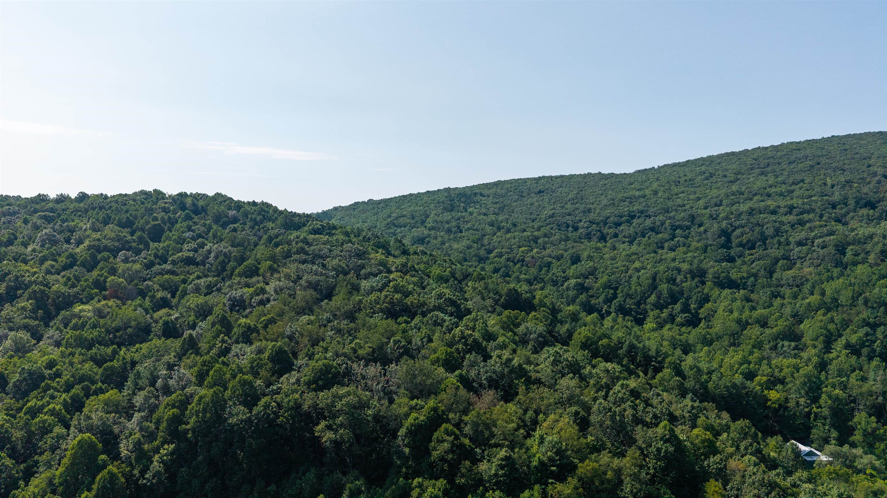 132 STILL HOUSE LN, DEERFIELD, Virginia 24432, ,Farm,132 STILL HOUSE LN,680945 MLS # 680945