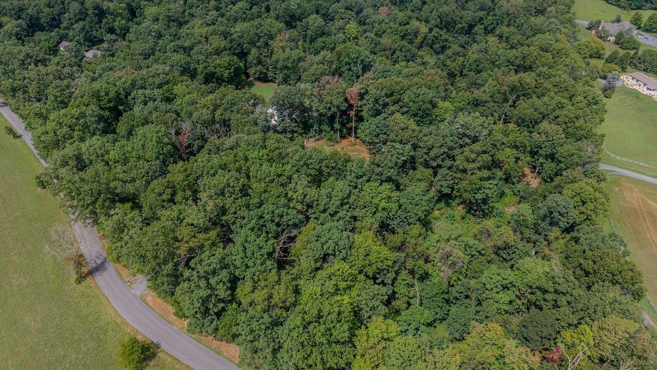 55 BURKES MILL RD, WEYERS CAVE, Virginia 24486, 3 Bedrooms Bedrooms, ,2 BathroomsBathrooms,Residential,55 BURKES MILL RD,680919 MLS # 680919 55 BURKES MILL RD, WEYERS CAVE, Virginia 24486, 3 Bedrooms Bedrooms, ,2 BathroomsBathrooms,Residential,55 BURKES MILL RD,680919 MLS # 680919