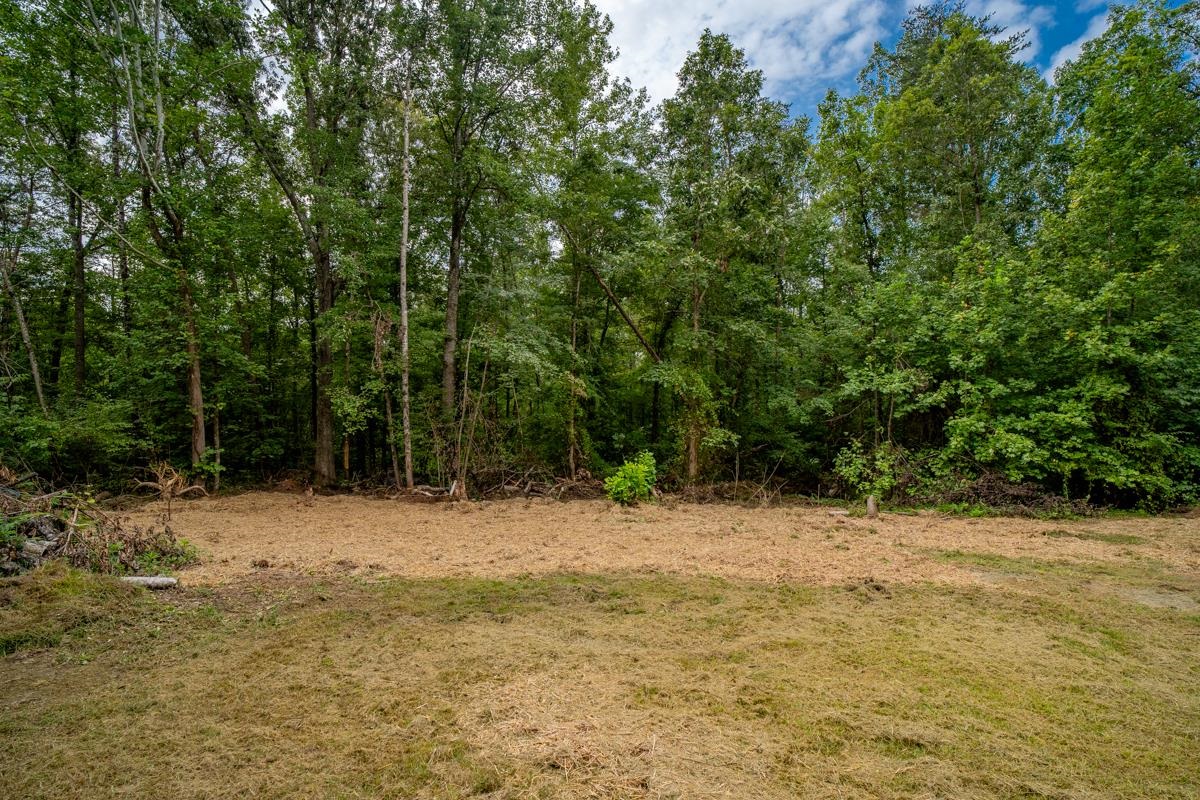 255 RIVERDALE DR, STANARDSVILLE, Virginia 22973, 3 Bedrooms Bedrooms, ,1 BathroomBathrooms,Residential,255 RIVERDALE DR,680947 MLS # 680947