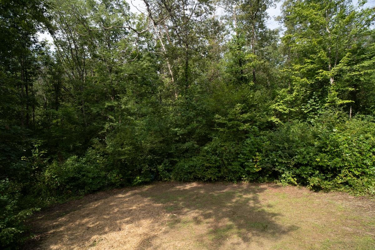 255 RIVERDALE DR, STANARDSVILLE, Virginia 22973, 3 Bedrooms Bedrooms, ,1 BathroomBathrooms,Residential,255 RIVERDALE DR,680947 MLS # 680947