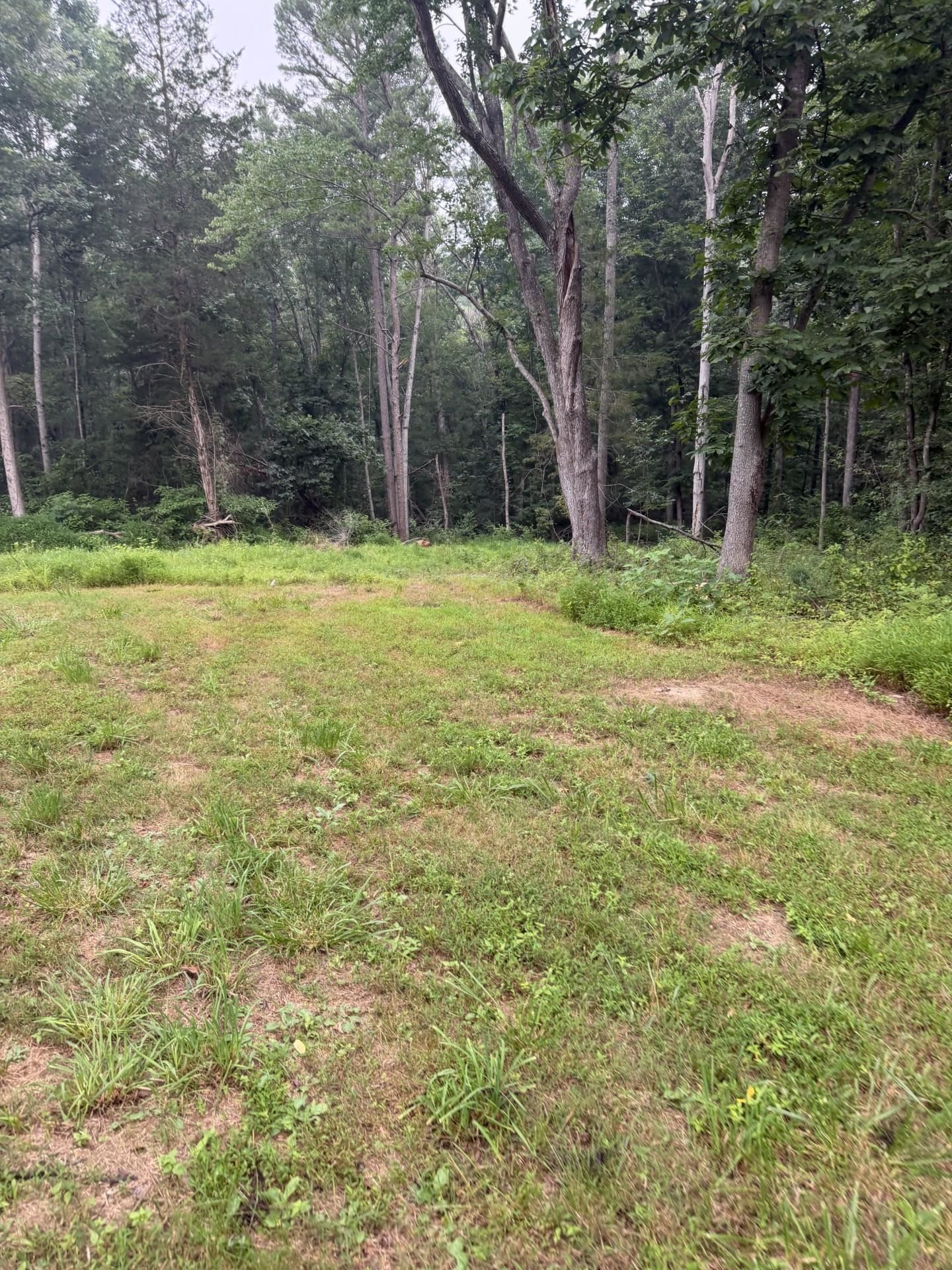 0 MT PARAN CHURCH RD, ELKTON, Virginia 22827, ,Land,0 MT PARAN CHURCH RD,680965 MLS # 680965 0 MT PARAN CHURCH RD, ELKTON, Virginia 22827, ,Land,0 MT PARAN CHURCH RD,680965 MLS # 680965