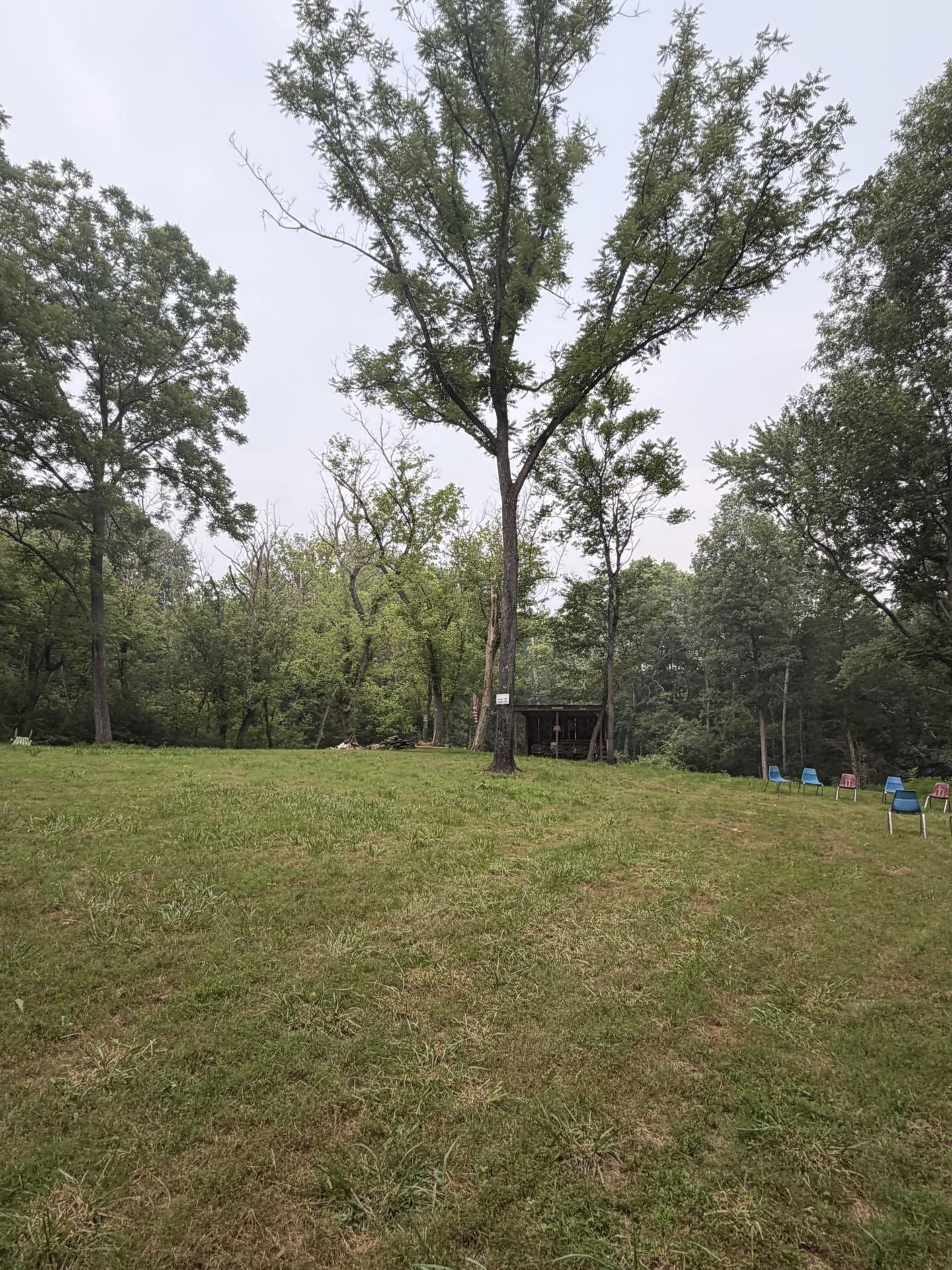0 MT PARAN CHURCH RD, ELKTON, Virginia 22827, ,Land,0 MT PARAN CHURCH RD,680965 MLS # 680965 0 MT PARAN CHURCH RD, ELKTON, Virginia 22827, ,Land,0 MT PARAN CHURCH RD,680965 MLS # 680965