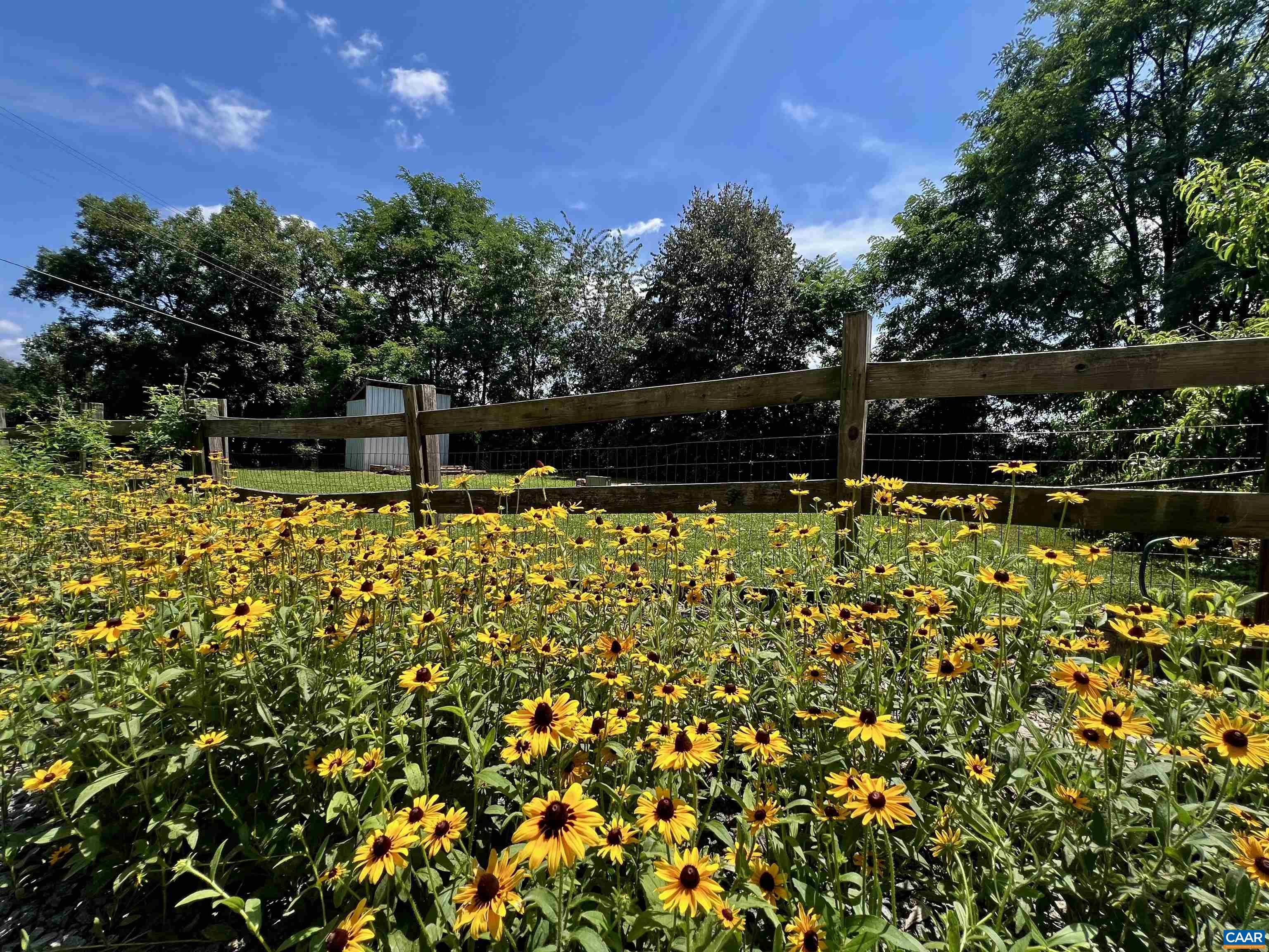 19129 ALLENS LN, CULPEPER, Virginia 22701, 3 Bedrooms Bedrooms, ,1 BathroomBathrooms,Residential,19129 ALLENS LN,679482 MLS # 679482 19129 ALLENS LN, CULPEPER, Virginia 22701, 3 Bedrooms Bedrooms, ,1 BathroomBathrooms,Residential,19129 ALLENS LN,679482 MLS # 679482
