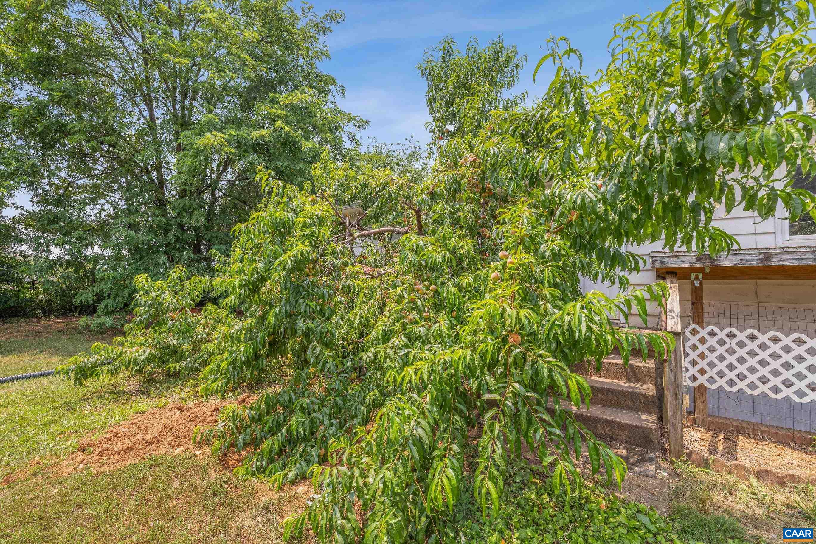 19129 ALLENS LN, CULPEPER, Virginia 22701, 3 Bedrooms Bedrooms, ,1 BathroomBathrooms,Residential,19129 ALLENS LN,679482 MLS # 679482 19129 ALLENS LN, CULPEPER, Virginia 22701, 3 Bedrooms Bedrooms, ,1 BathroomBathrooms,Residential,19129 ALLENS LN,679482 MLS # 679482