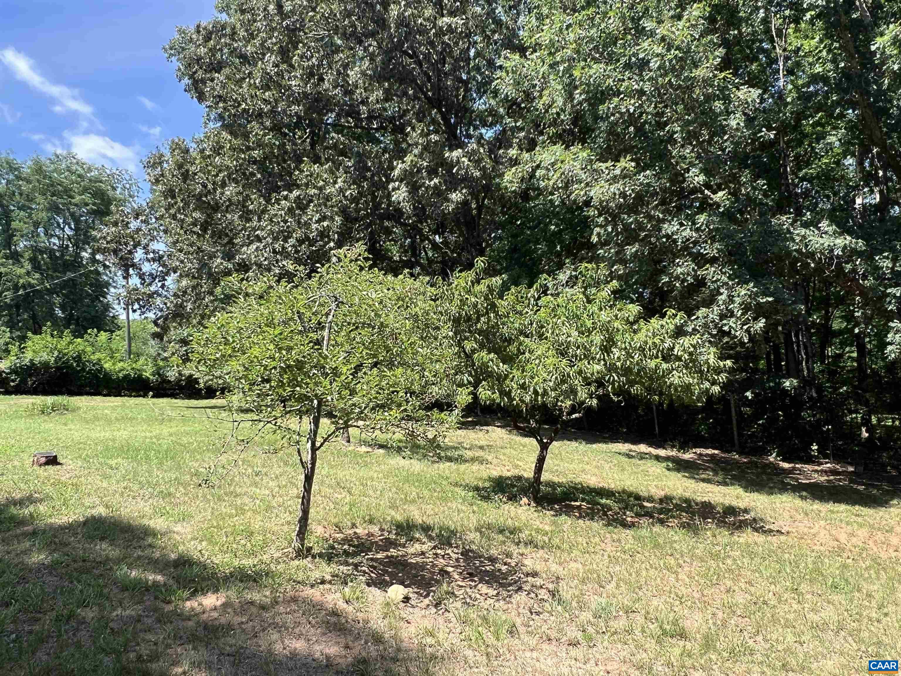 19129 ALLENS LN, CULPEPER, Virginia 22701, 3 Bedrooms Bedrooms, ,1 BathroomBathrooms,Residential,19129 ALLENS LN,679482 MLS # 679482 19129 ALLENS LN, CULPEPER, Virginia 22701, 3 Bedrooms Bedrooms, ,1 BathroomBathrooms,Residential,19129 ALLENS LN,679482 MLS # 679482