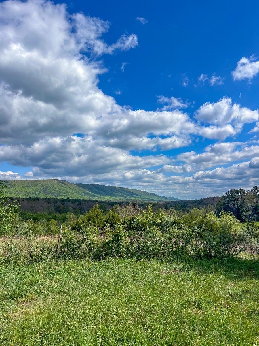 Located just 15 minutes from the Virginia Horse Center and the historic town of Lexington, this property offers a rare combination of accessibility, usable acreage, and proximity to some of Virginia’s most treasured outdoor resources. Located just 15 minutes from the Virginia Horse Center and the historic town of Lexington, this property offers a rare combination of accessibility, usable acreage, and proximity to some of Virginia’s most treasured outdoor resources.