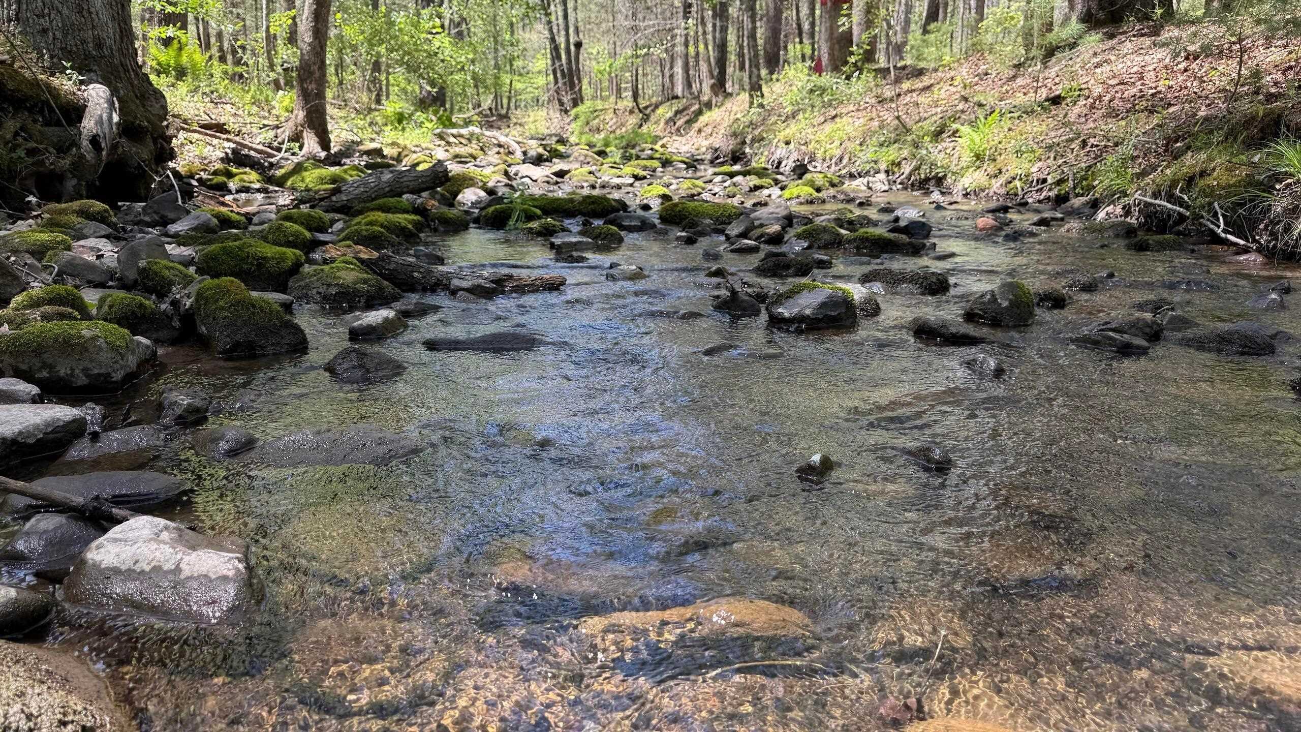 Mill Creek Mill Creek