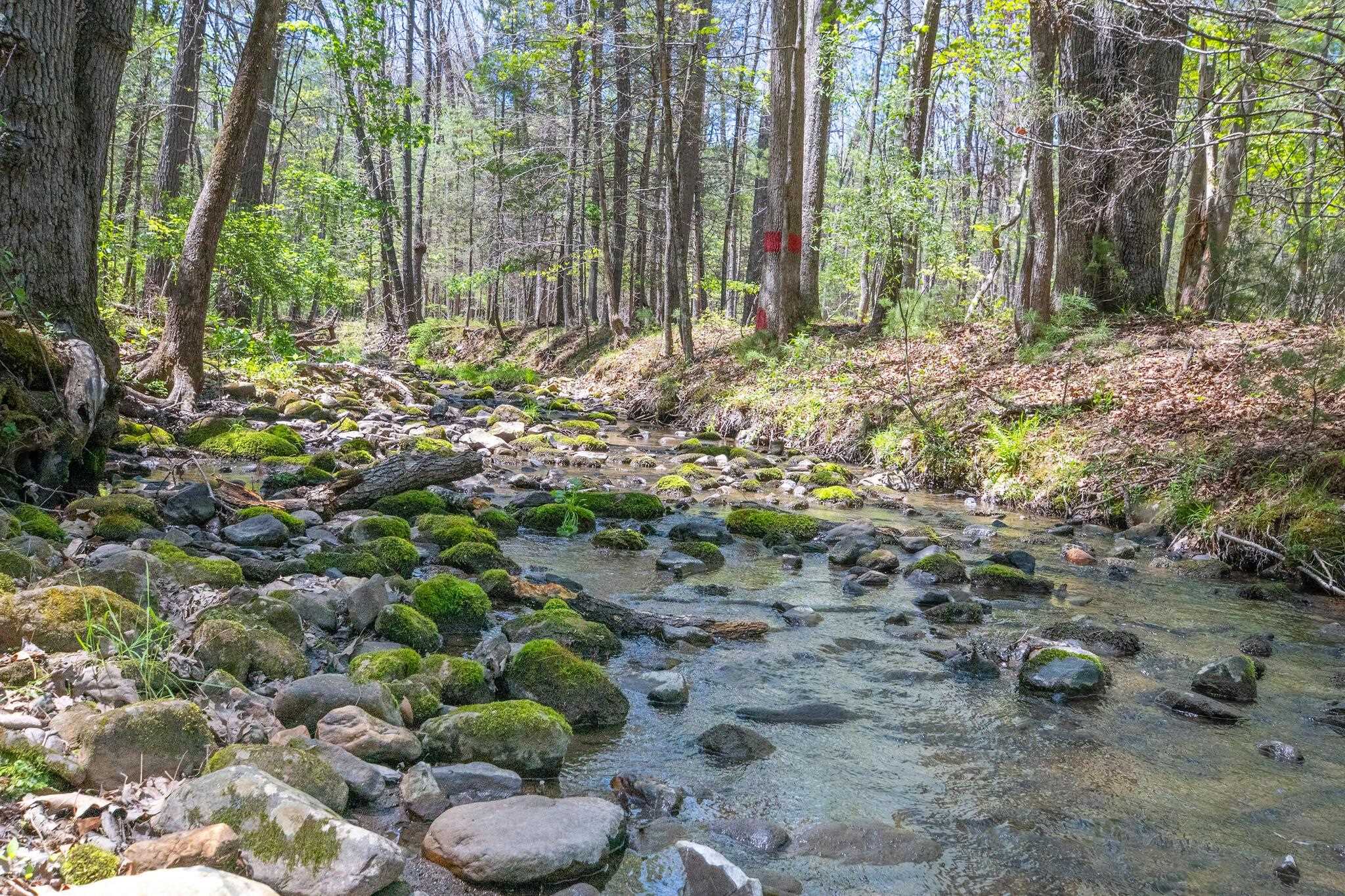 Property line extends just across this creek. Property line extends just across this creek.