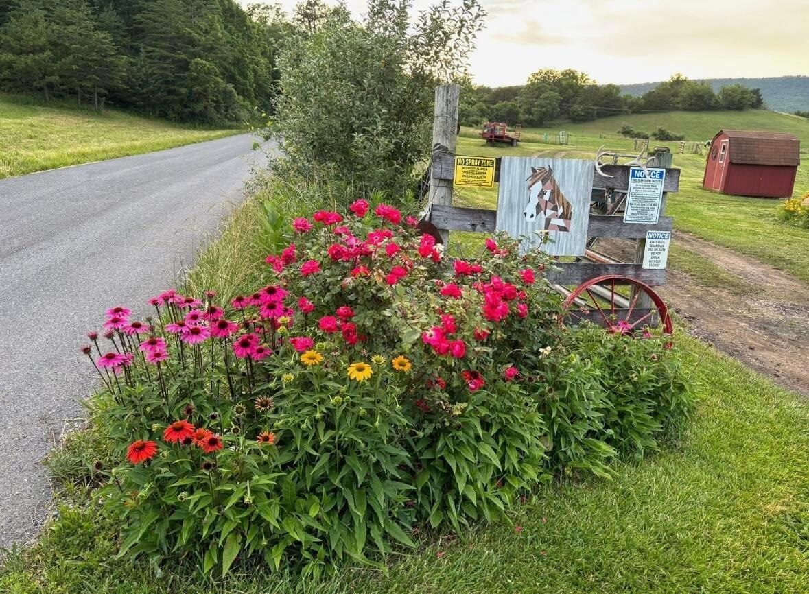 694 & 764 ROCKBRIDGE ALUM SPRINGS RD, GOSHEN, Virginia 24439, 3 Bedrooms Bedrooms, ,2 BathroomsBathrooms,Residential,694 & 764 Rockbridge Alum Springs Rd Goshen, V,694 & 764 ROCKBRIDGE ALUM SPRINGS RD,680967 MLS # 680967 694 & 764 ROCKBRIDGE ALUM SPRINGS RD, GOSHEN, Virginia 24439, 3 Bedrooms Bedrooms, ,2 BathroomsBathrooms,Residential,694 & 764 Rockbridge Alum Springs Rd Goshen, V,694 & 764 ROCKBRIDGE ALUM SPRINGS RD,680967 MLS # 680967