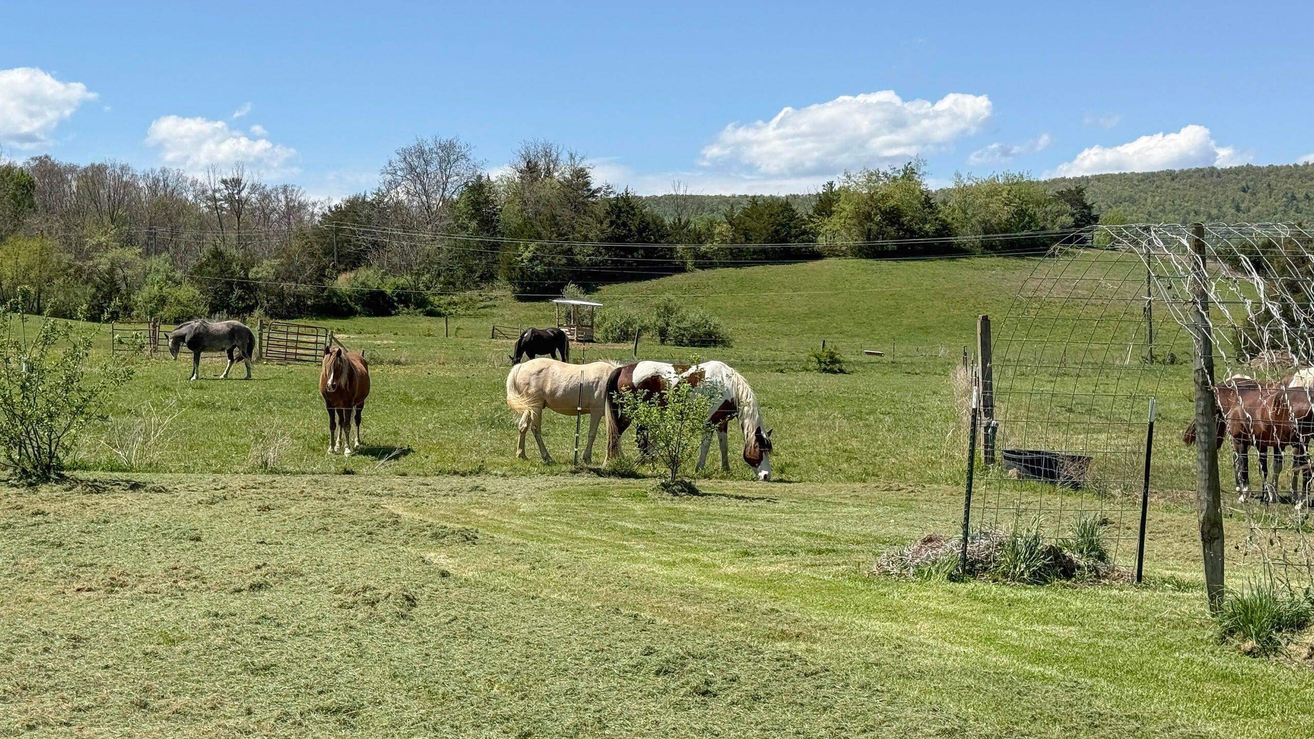 Whether for horses, recreation, or a legacy property to enjoy for generations, this is a truly distinctive offering. Whether for horses, recreation, or a legacy property to enjoy for generations, this is a truly distinctive offering.